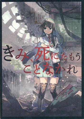 きみ 死にたもうことなかれ 艦隊これくしょん 艦これ 玉沢円 ゴウタ 洲央 不可思議 男性向同人 同人誌 一般誌 アニメグッズ ゲーム 同人誌の中古販売 買取 らしんばんオンライン