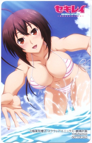 セキレイ ~未来からのおくりもの~ 【アニメイト特典】 【テレホンカード】