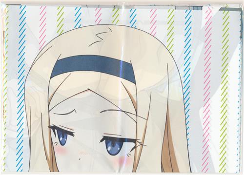 ワールドウィッチーズ発進しますっ B2布ポスター アニメイト Dvd全巻購入特典 グッズ 抱き枕カバー タペストリー シーツ タペストリー 一般 アニメグッズ ゲーム 同人誌の中古販売 買取 らしんばんオンライン