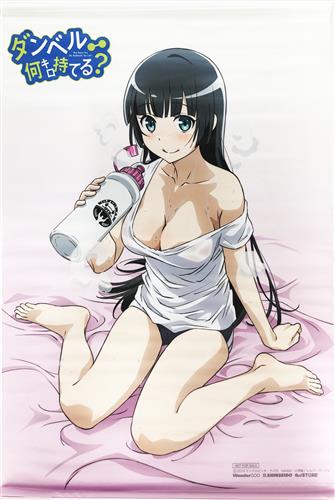 ダンベル何キロ持てる? B2タペストリー 奏流院朱美 【ジーストア/WonderGOO/新星堂 BD/DVD全巻購入特典】