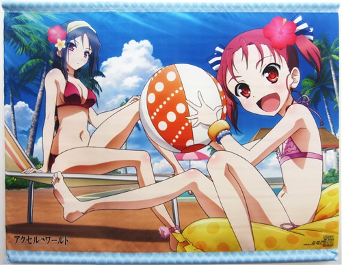 アクセル・ワールド B2タペストリー 【とらのあな BD/DVD 5～8巻連動購入特典】