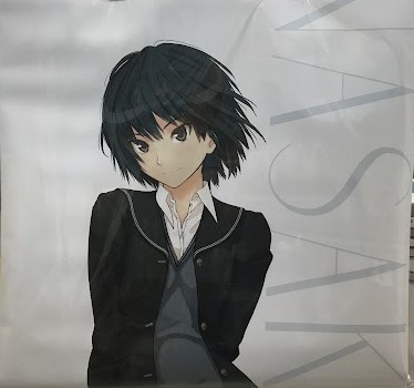 七咲逢 アニメ　タペストリー　ローアングル探偵団　限定 新品・在庫品 【中古】タペストリー 七咲逢 ローアングル探偵団