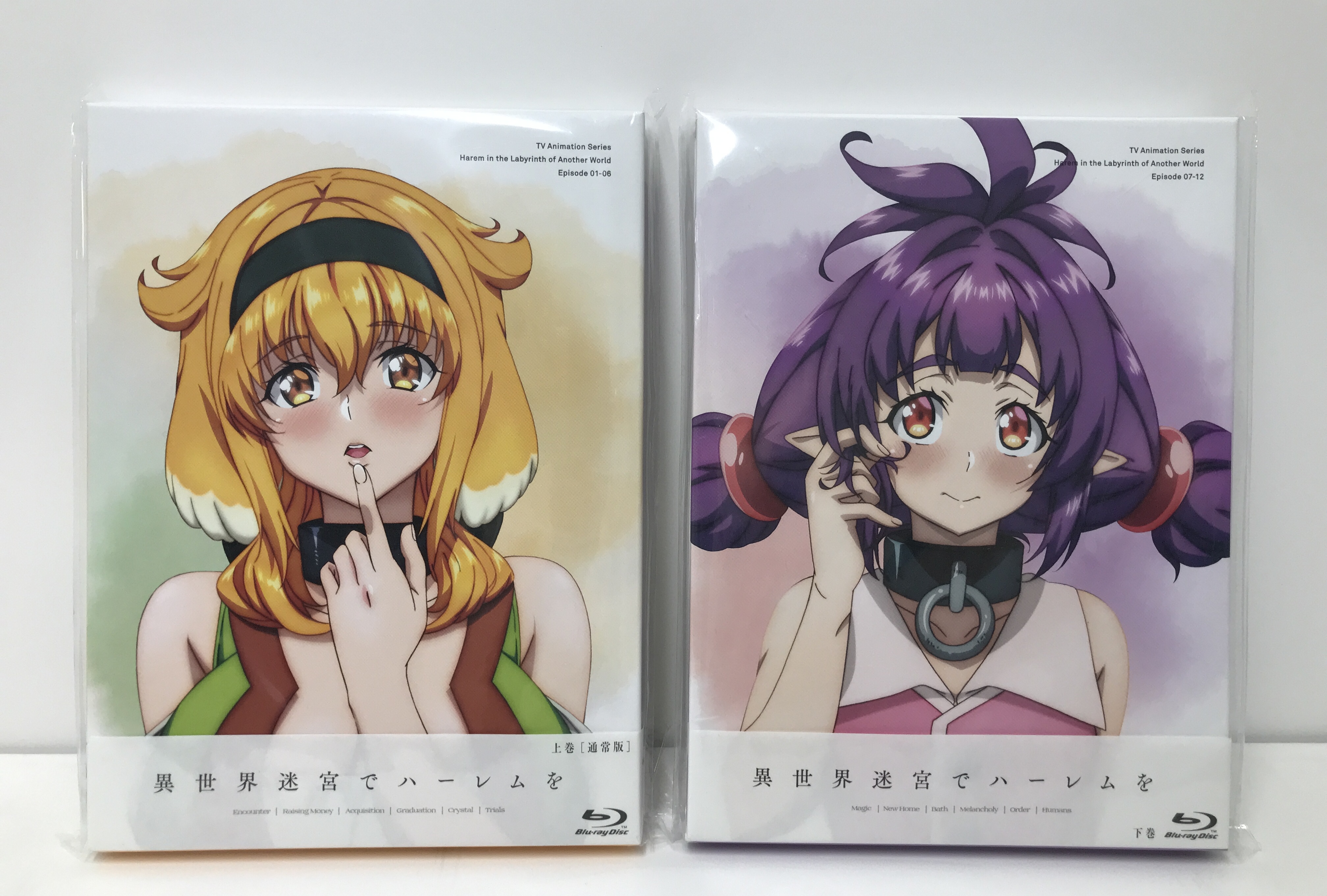 異世界迷宮でハーレムを Blu-ray BOX 超ハーレムver