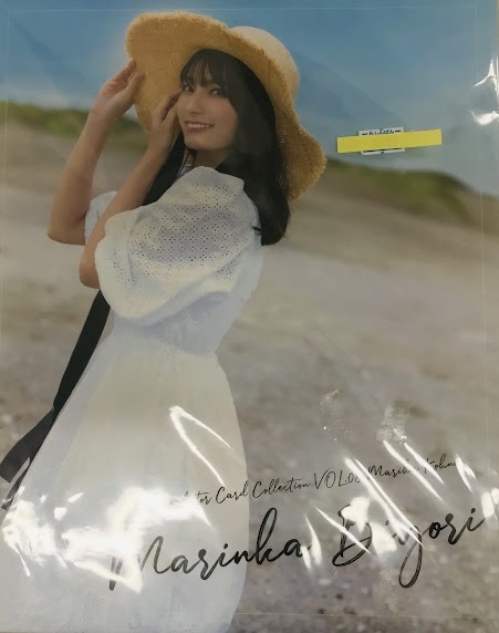 Voice Actor Card Collection VOL.08 高野麻里佳「まりんか日和」9ポケットバインダー&メイキングDVD