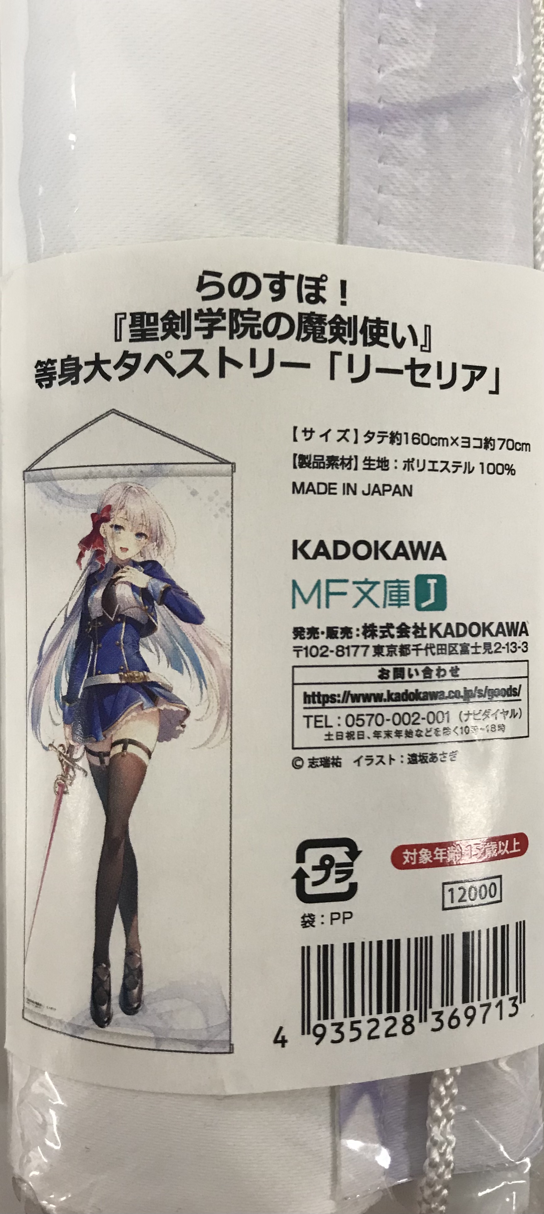 聖剣学院の魔剣使い   特典  タペストリー Amazon.co.jp: 聖剣学院の魔剣使い 13巻のメロンブックス限定