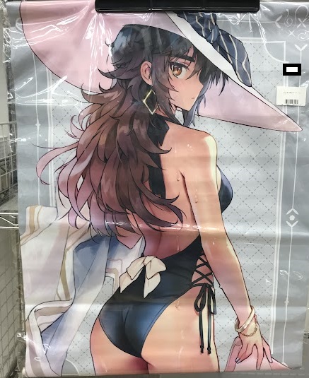 シロナガス島への帰還 B2タペストリー ジゼル・リード 【メロンブックス限定セット内容物】