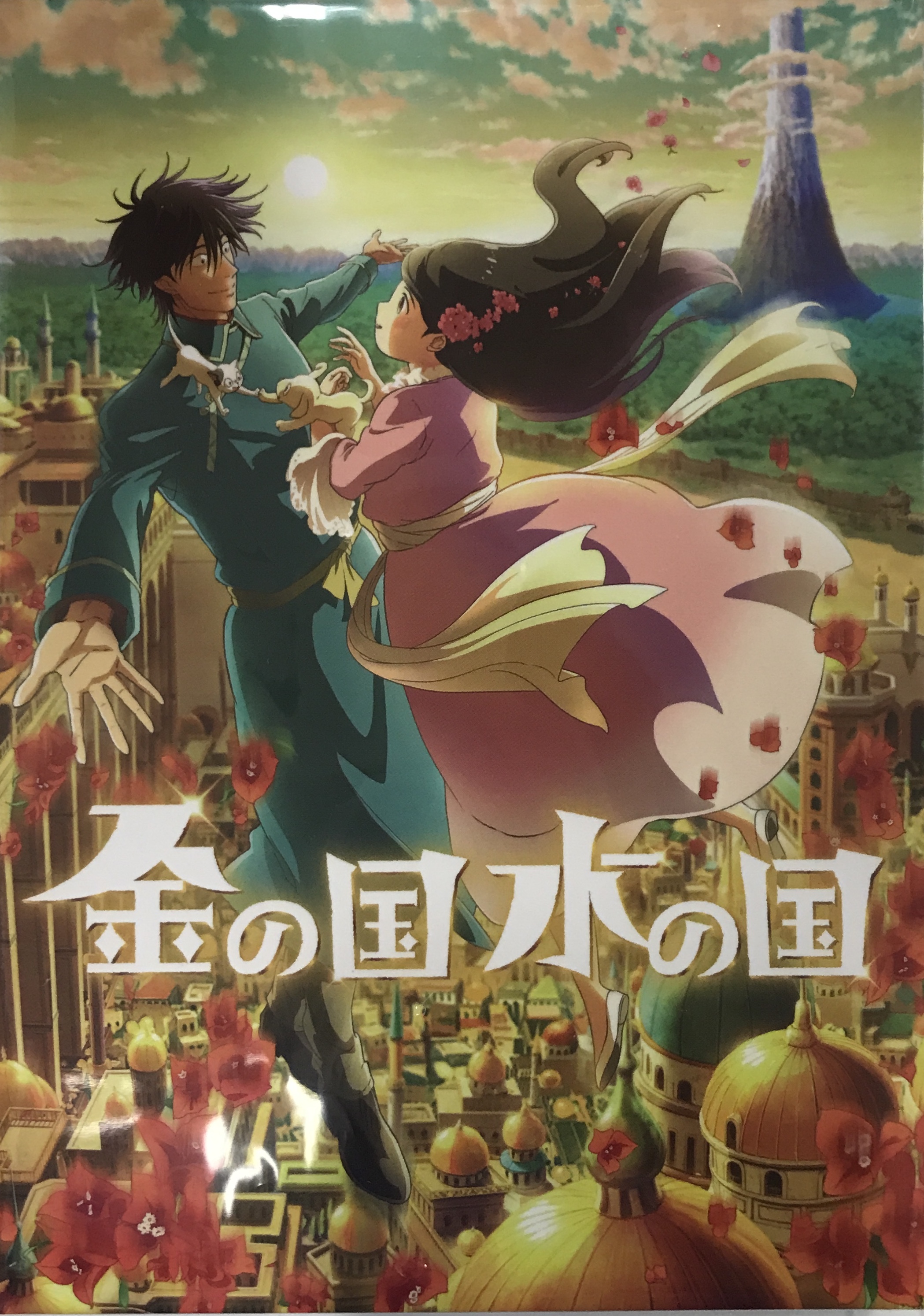 【未開封】金の国 水の国 【DVD】