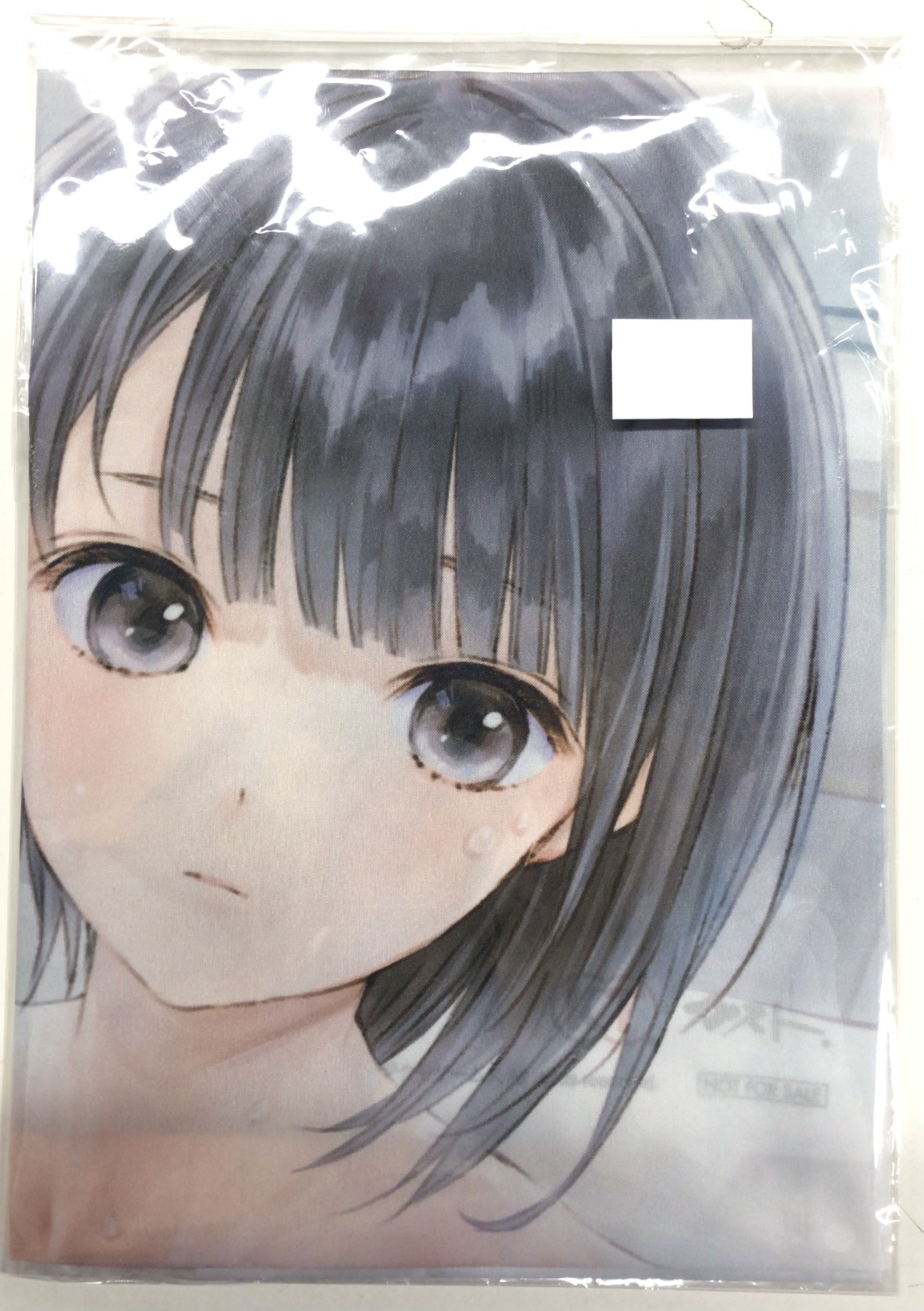 未開封】BLUE REFLECTION 幻に舞う少女の剣 B2布ポスター 白井