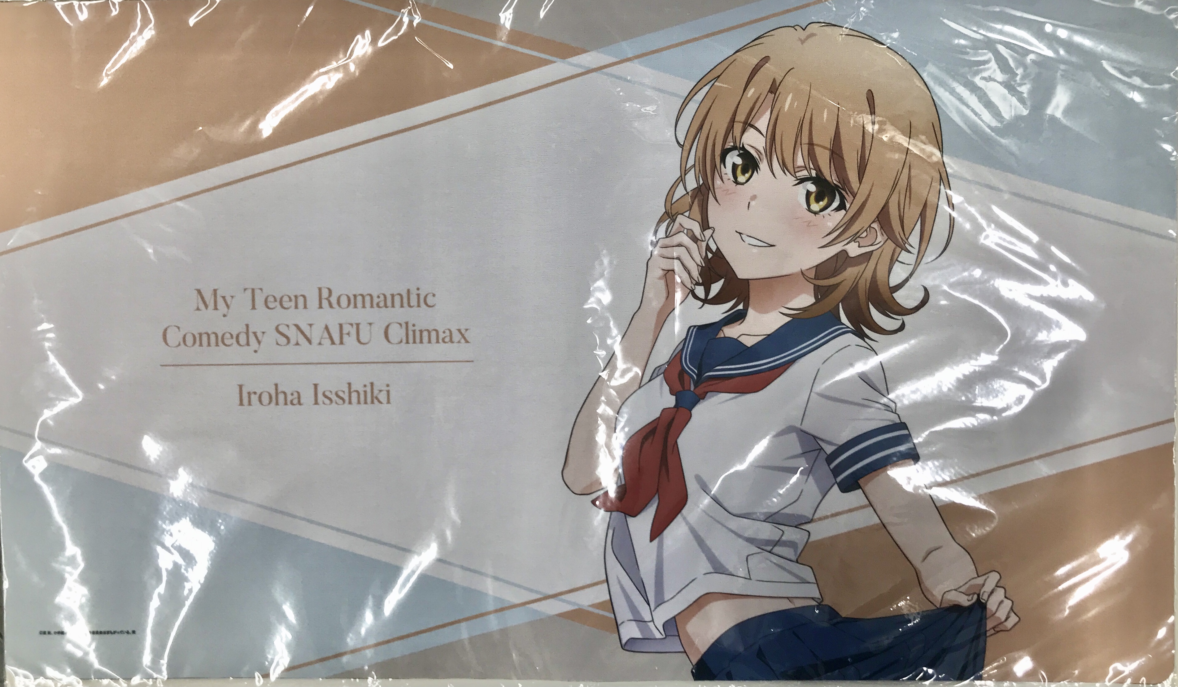 【未開封】DMMスクラッチ TVアニメ やはり俺の青春ラブコメはまちがっている。完 A-3賞 ラバーマット 一色いろは