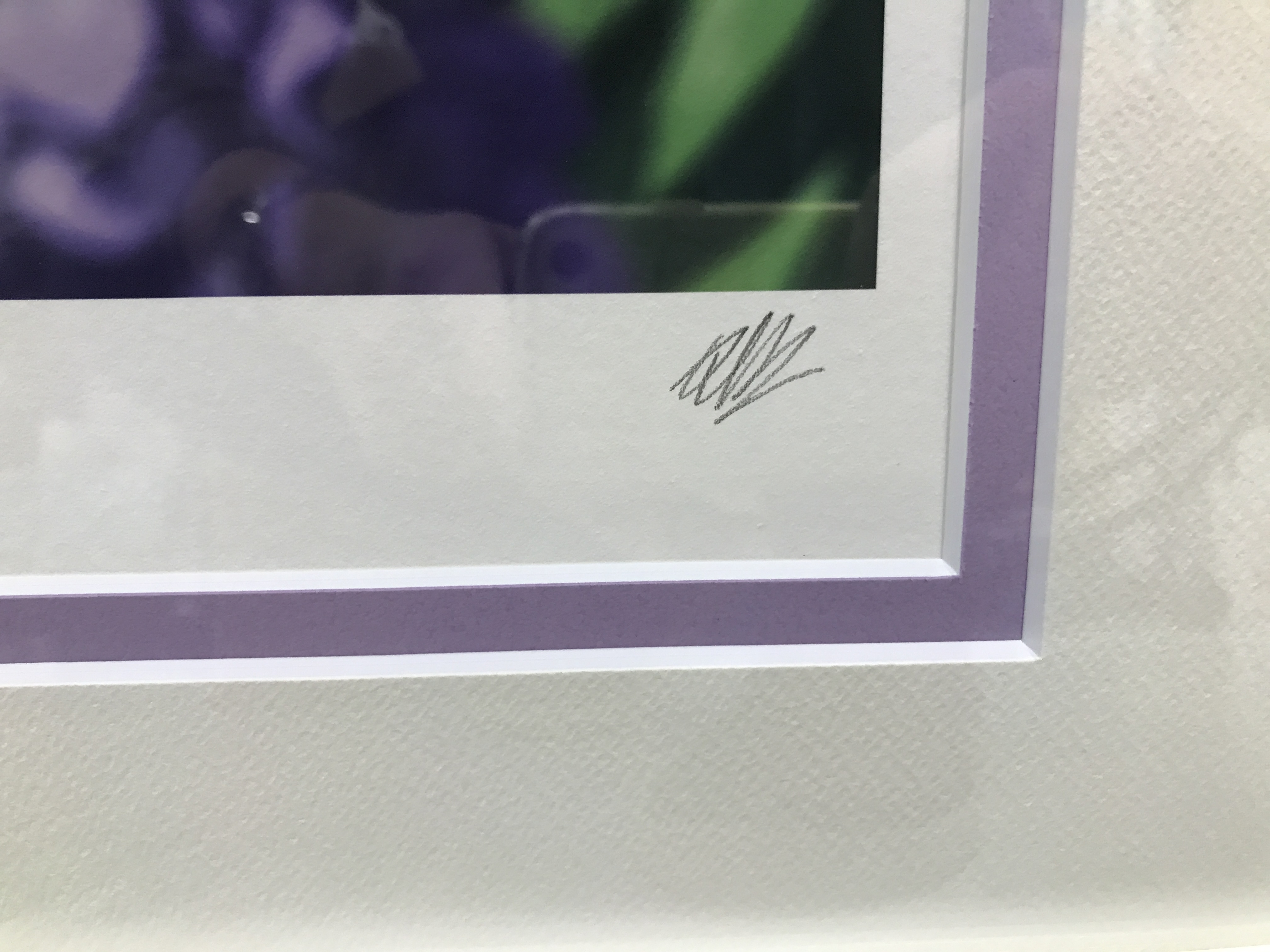 ★【未使用】カントク 版画 あじさい カントク 版画 あじさい ｶﾝﾄｸﾊﾝｶﾞｱｼﾞｻｲ グッズ その他 その他 / アニメ