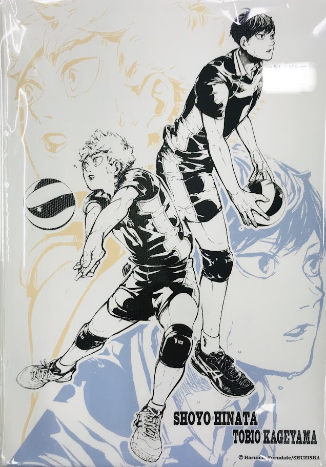 【未開封】ハイキュー!! アートボード 日向翔陽&影山飛雄 仙台観光特使就任記念Ver.