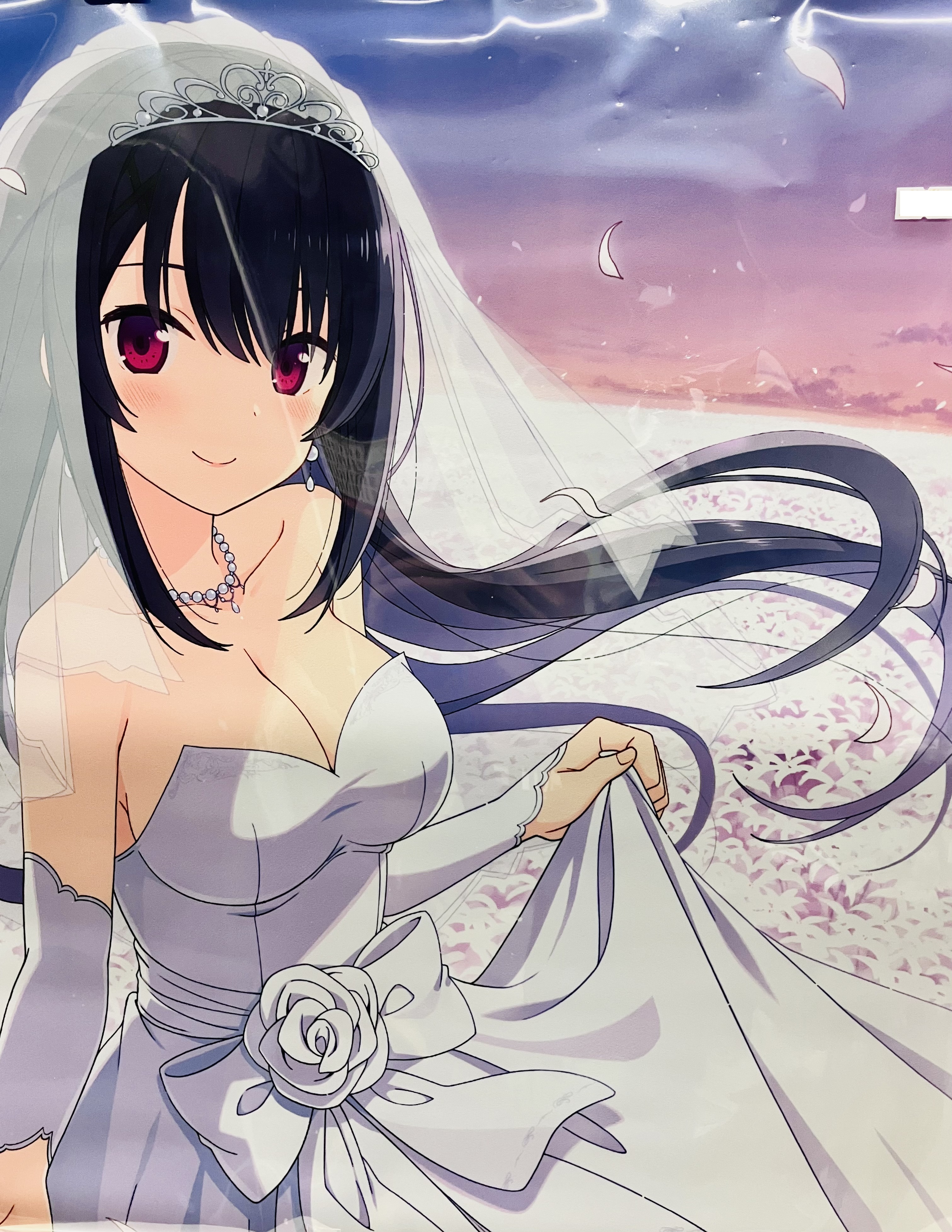 蒼の彼方のフォーリズム ダブルスエードタペストリー 蒼の彼方のフォーリズム 10th Anniversary BOX 描き下ろしB2Wスエード