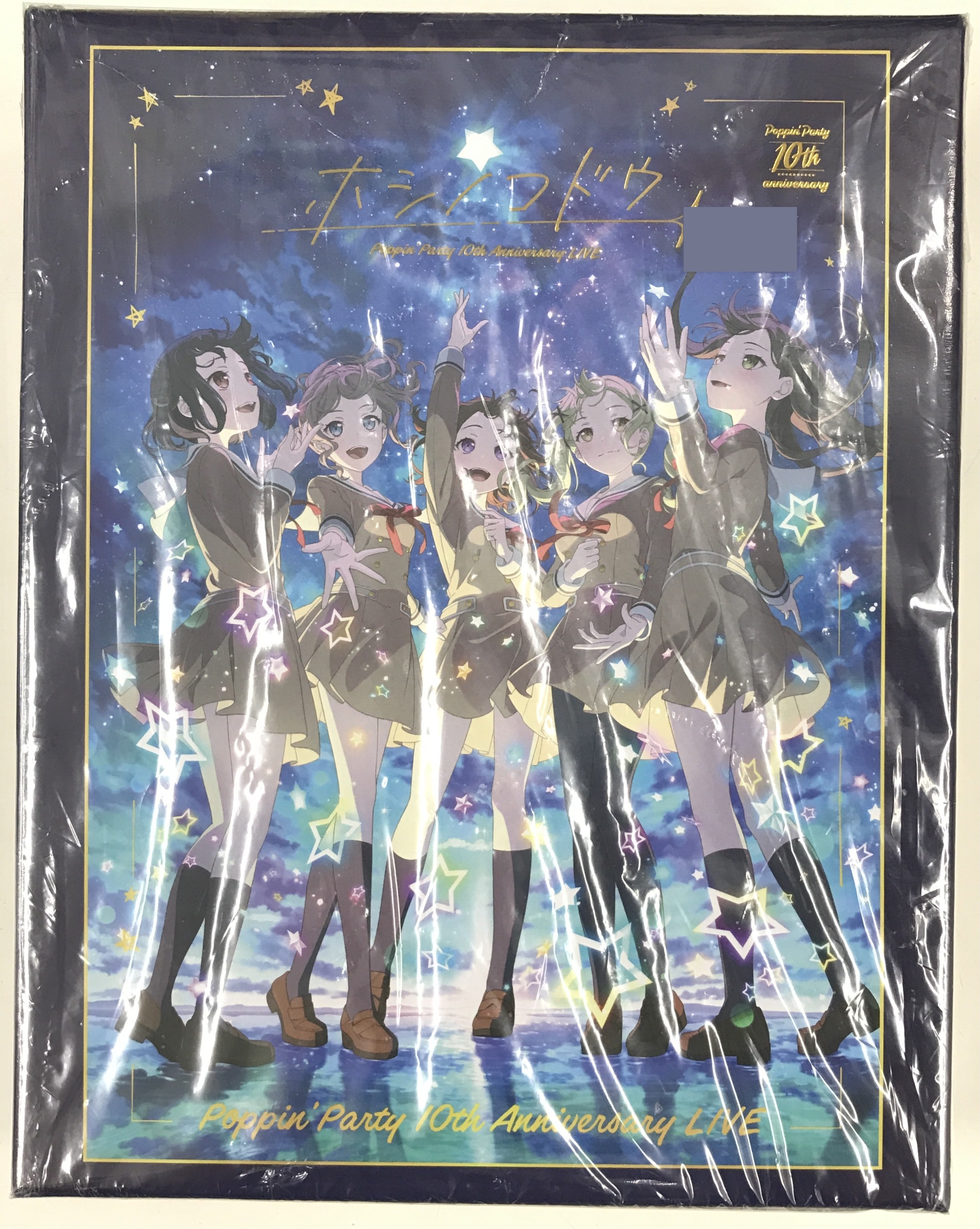 BanG Dream! Poppin'Party 10th Anniversary LIVE 「ホシノコドウ」 特製ジグソーパズル 【チケット特典】