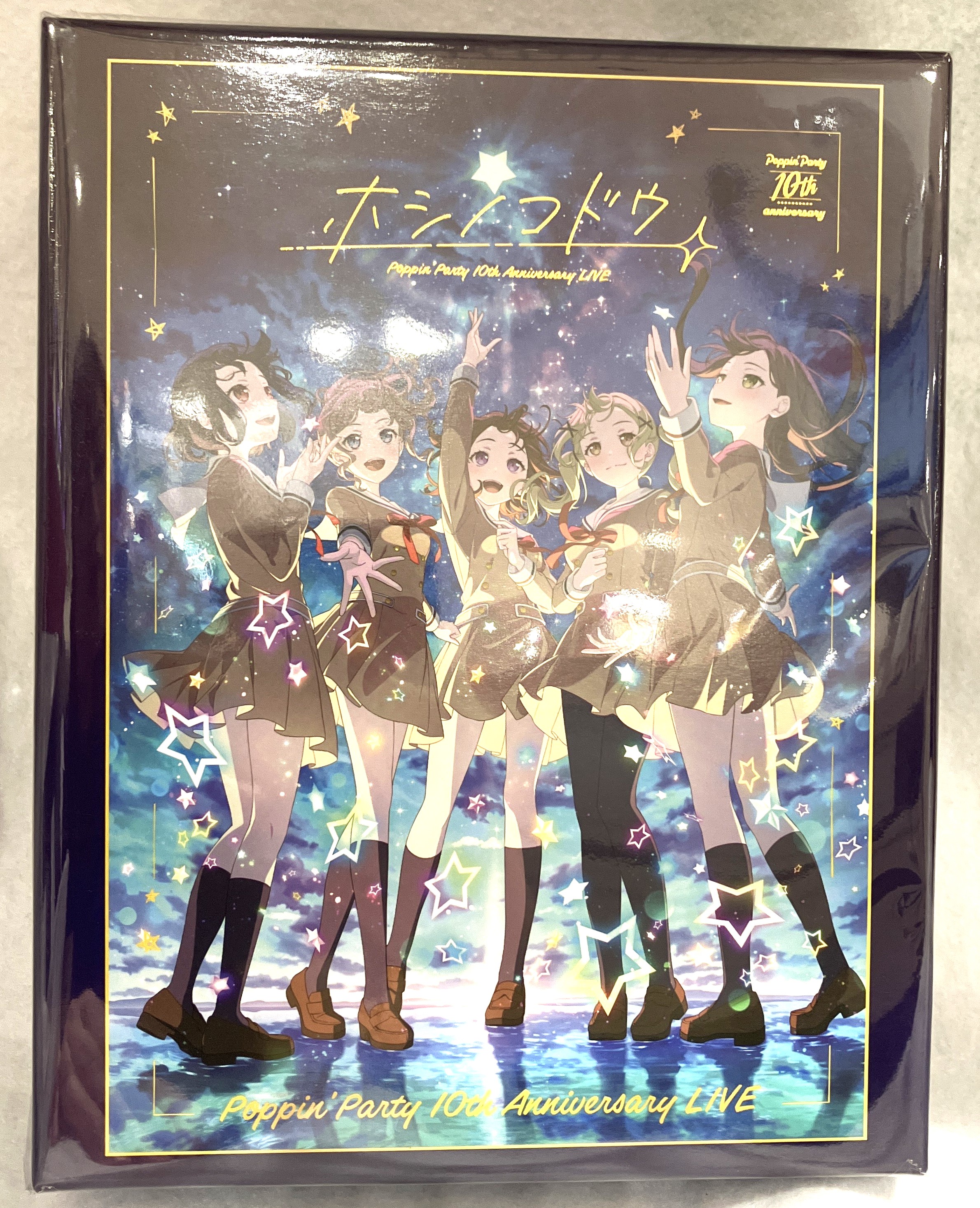 BanG Dream! Poppin'Party 10th Anniversary LIVE 「ホシノコドウ」 特製ジグソーパズル 【チケット特典】
