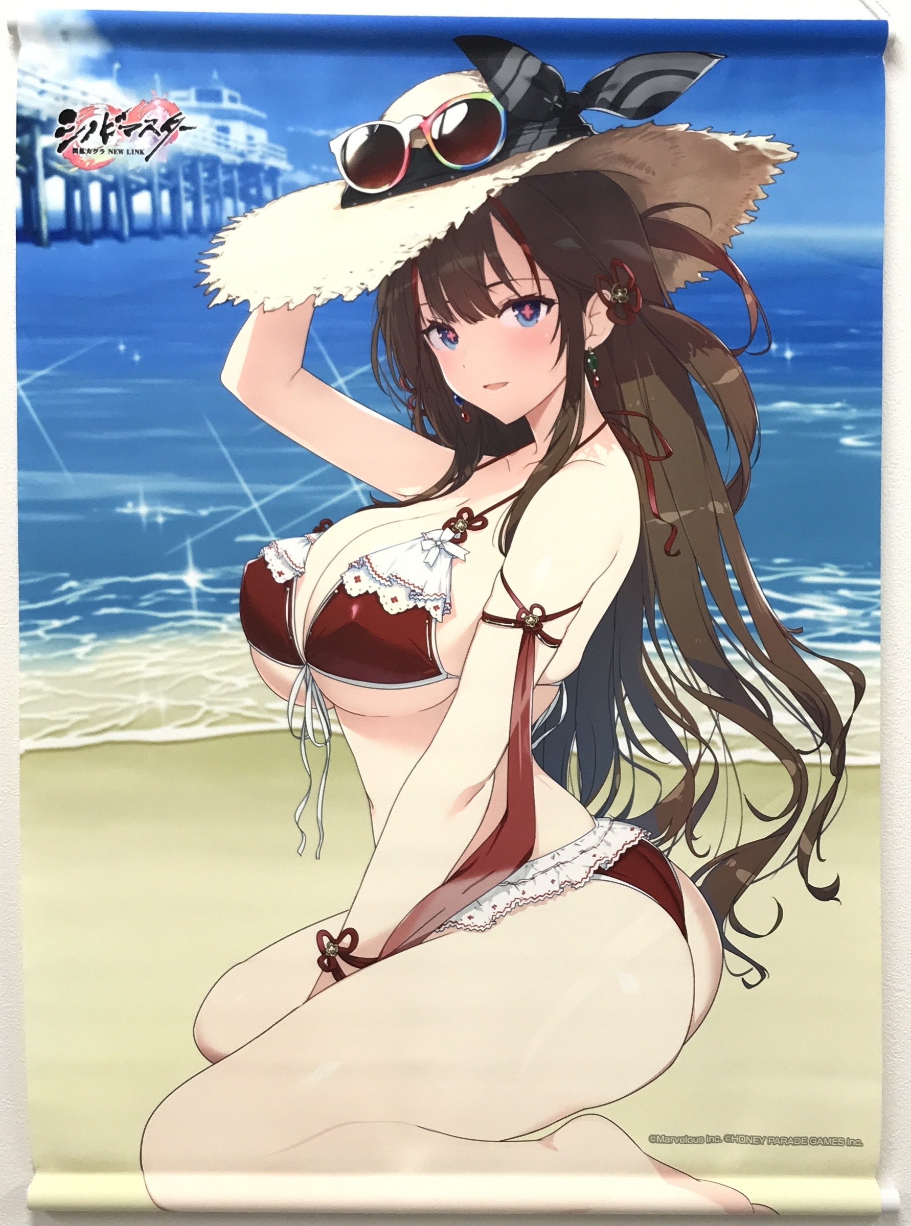 シノビマスター 閃乱カグラ NEW LINK B2タペストリー 鴇 (水着) ｼﾉﾋﾞ