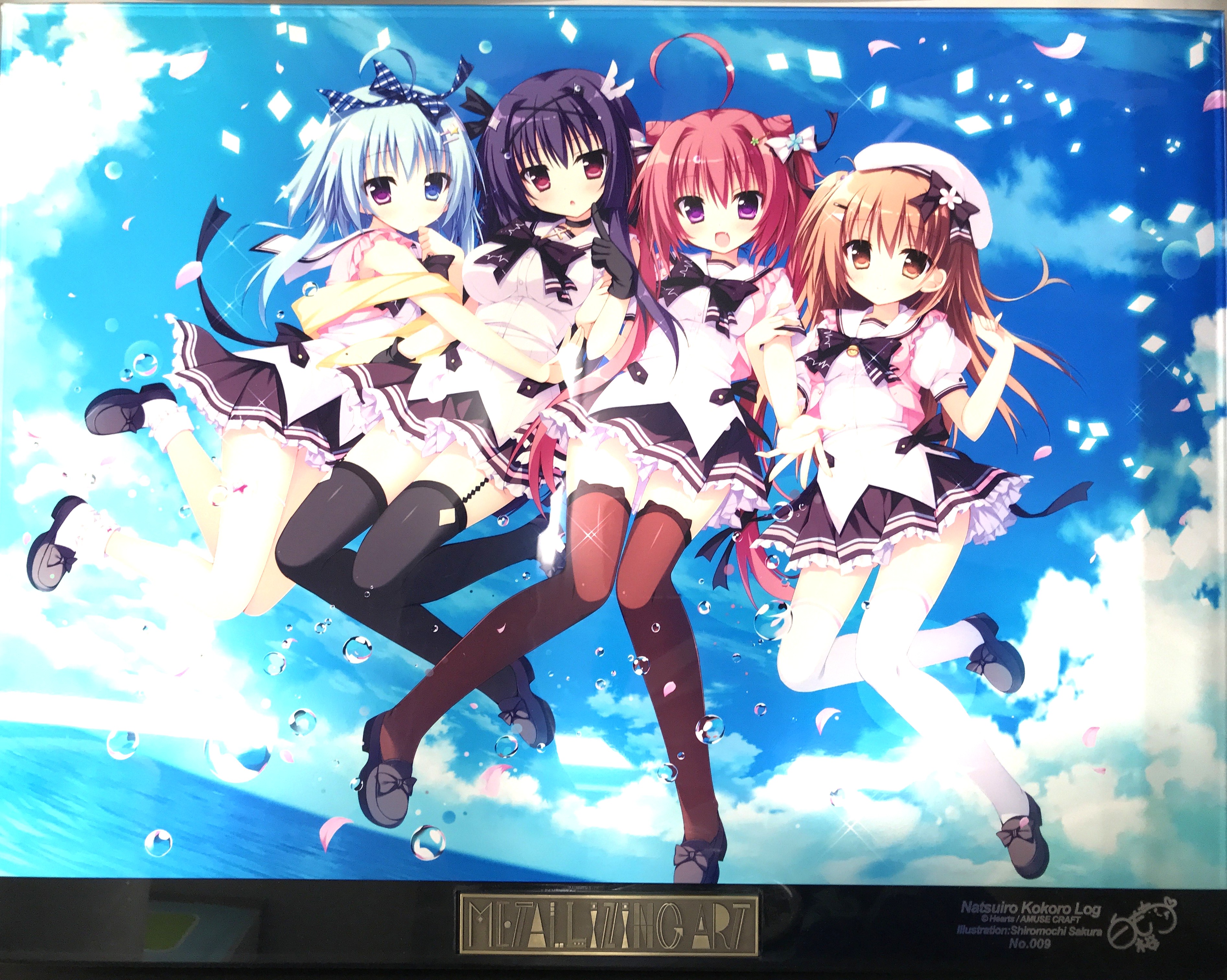 メタライズアート AMUSE CRAFT Collecton ナツイロココロログ Package Visual illustration