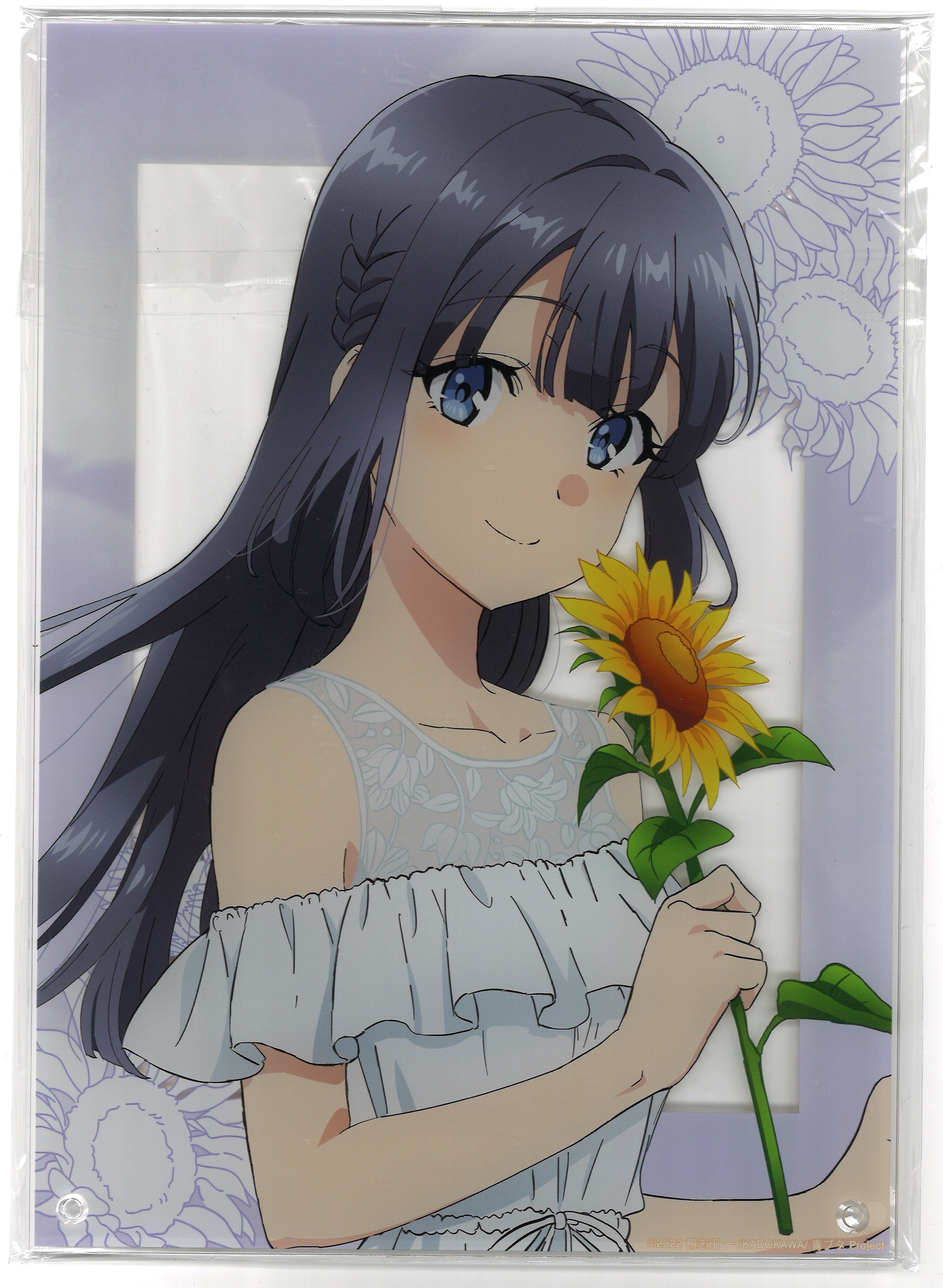 青春ブタ野郎はバニーガール先輩の夢を見ない 描き下ろしイラスト 当たり付き一撃A4アクリルパネル 牧之原翔子 B
