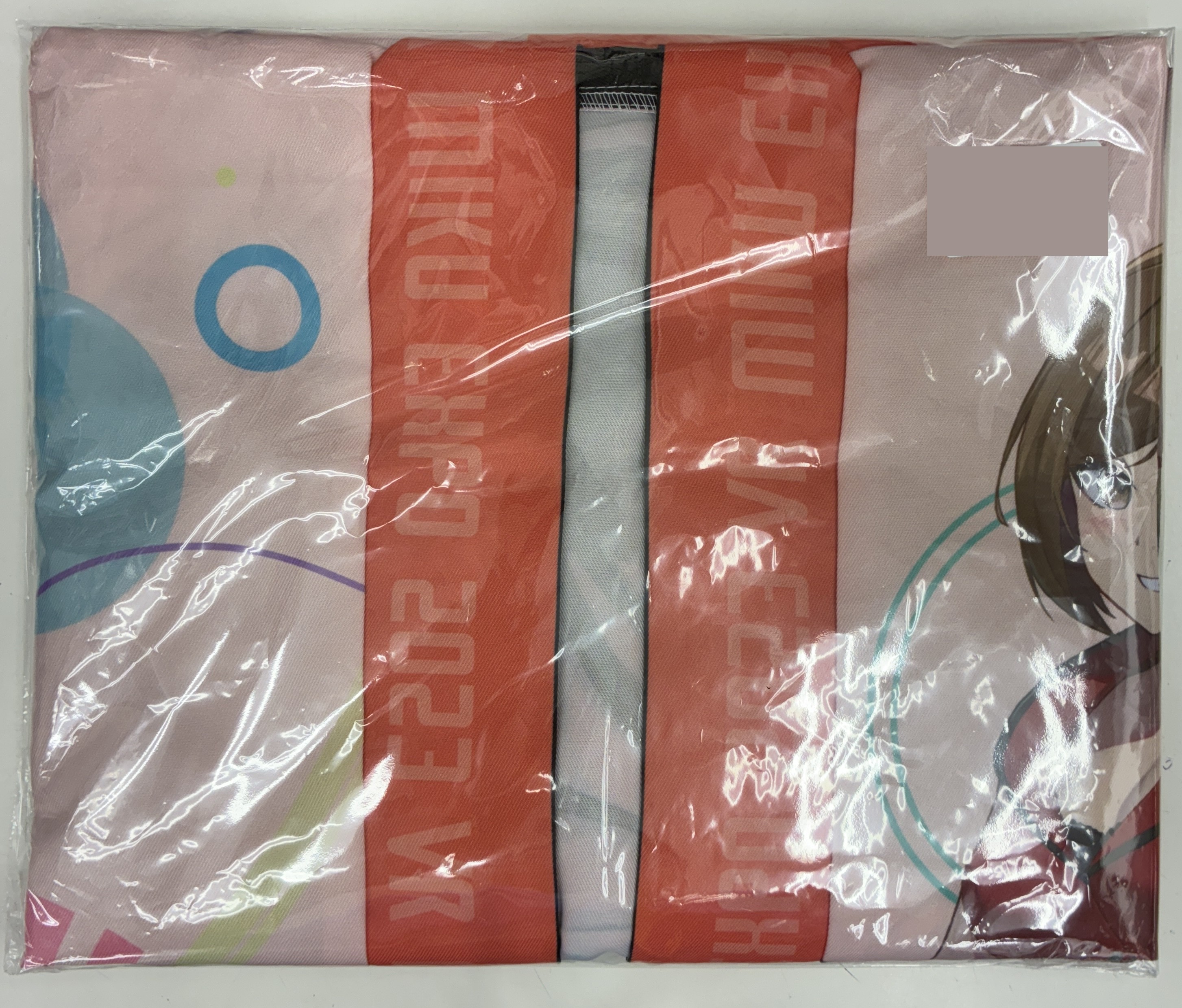 HATSUNE MIKU EXPO 2023 VR ハッピ MEIKO