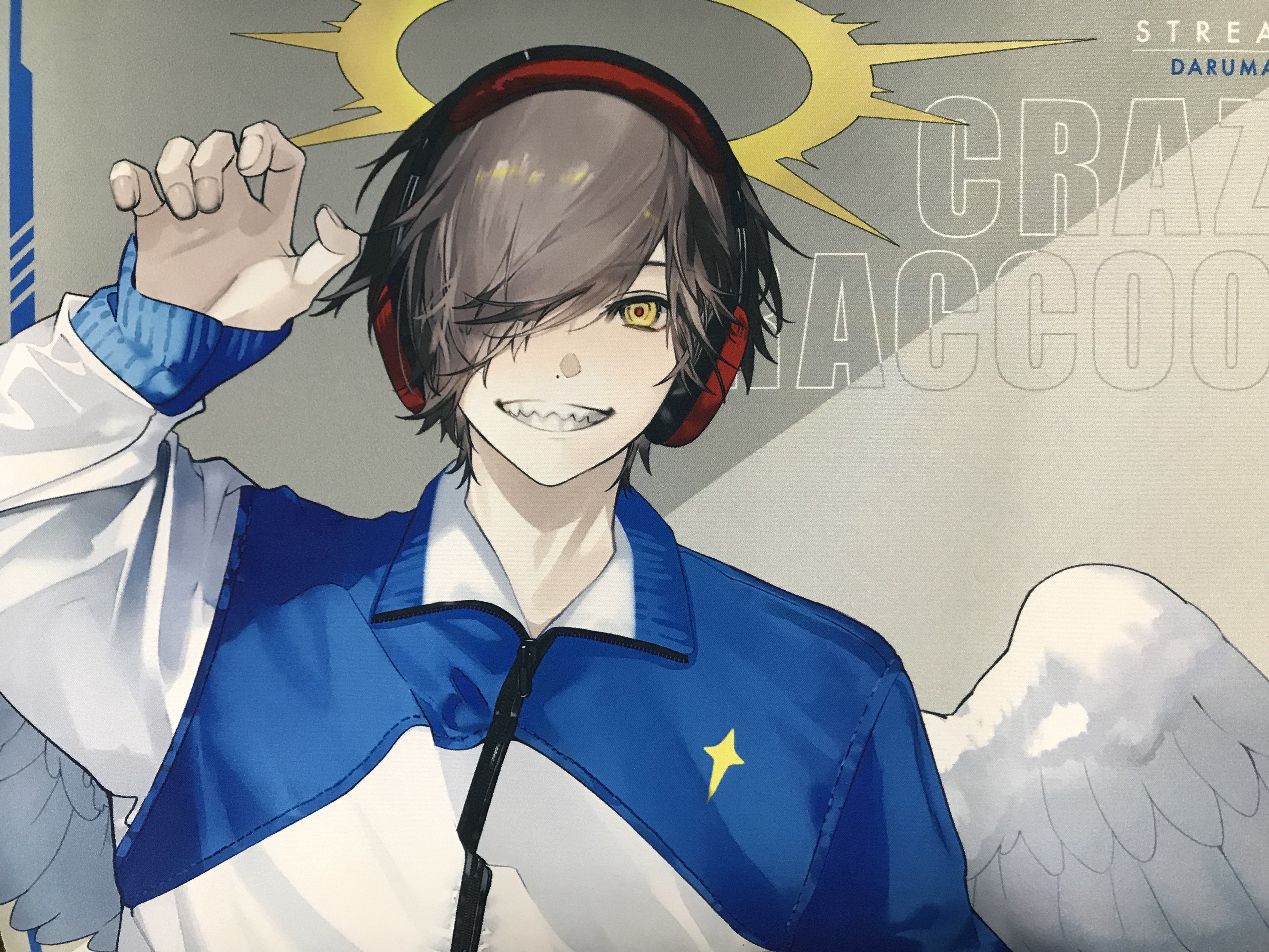 Crazy Raccoon デスクマット だるまいずごっど