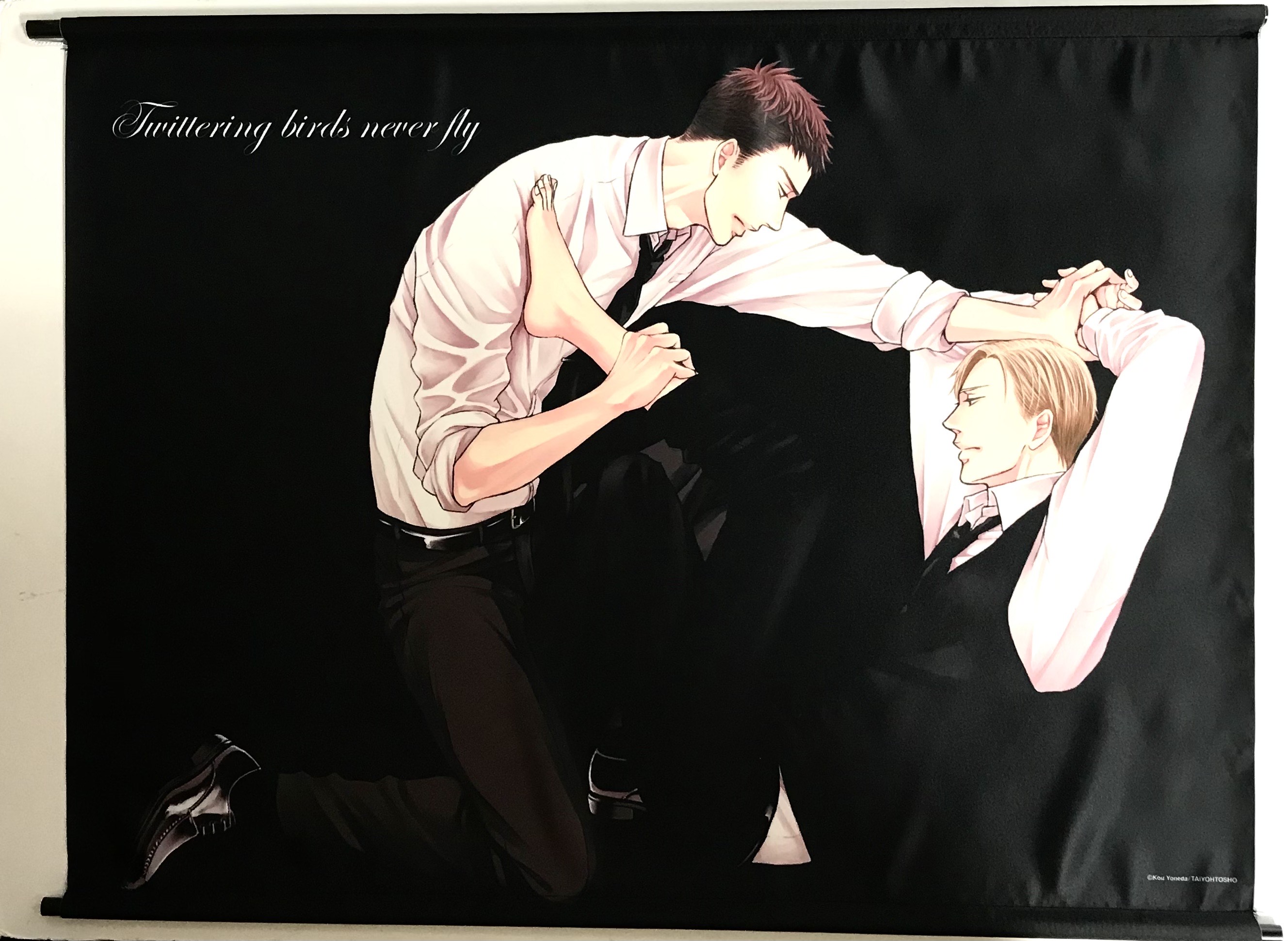 囀る鳥は羽ばたかない B2タペストリー 百目鬼力&矢代 A