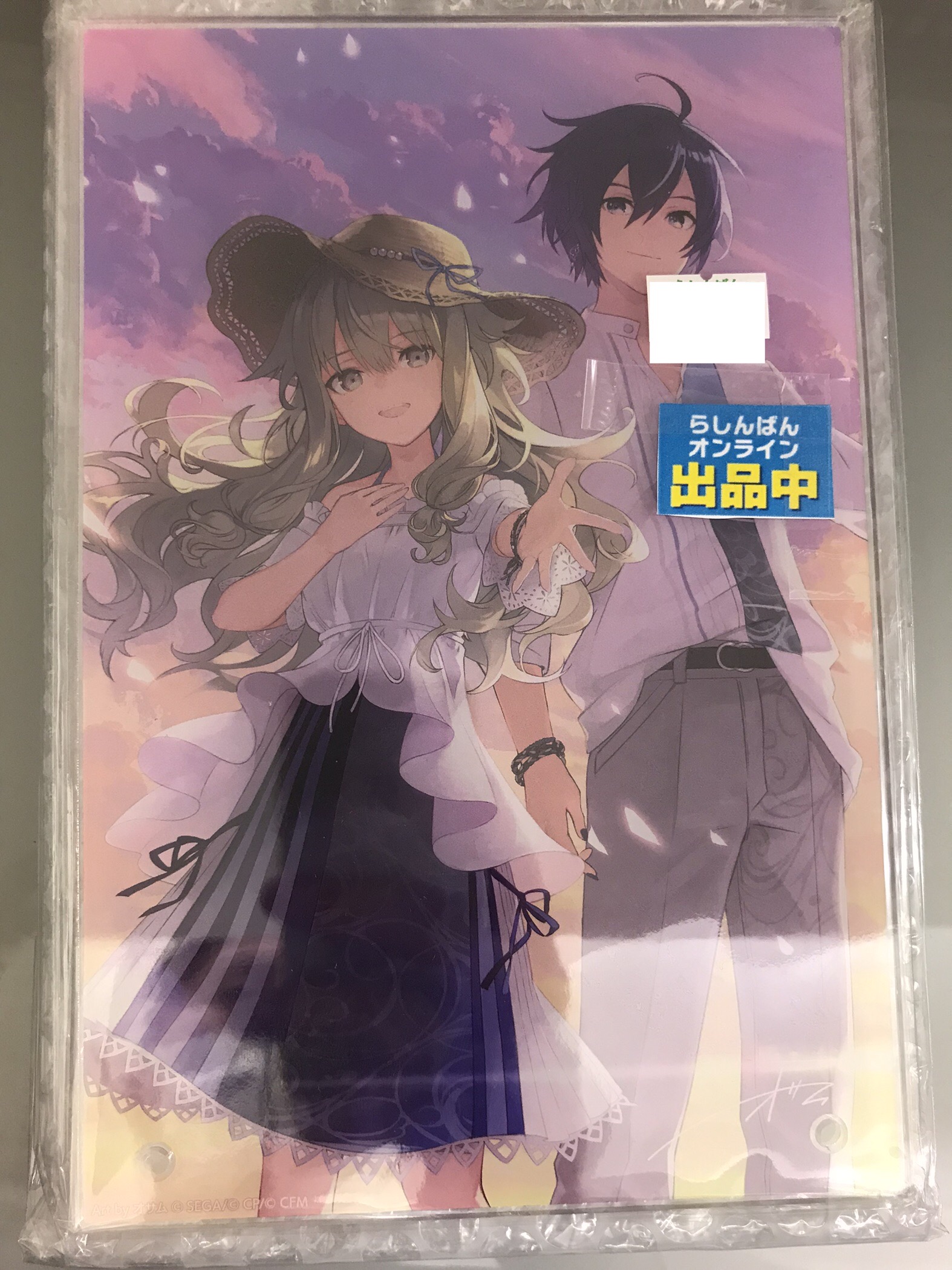 プロジェクトセカイ カラフルステージ! クリエイターズフェスタ 2024 in ニコニコ超会議 アクリルパネル 草薙寧々&ワンダーランドのセカイのKAITO