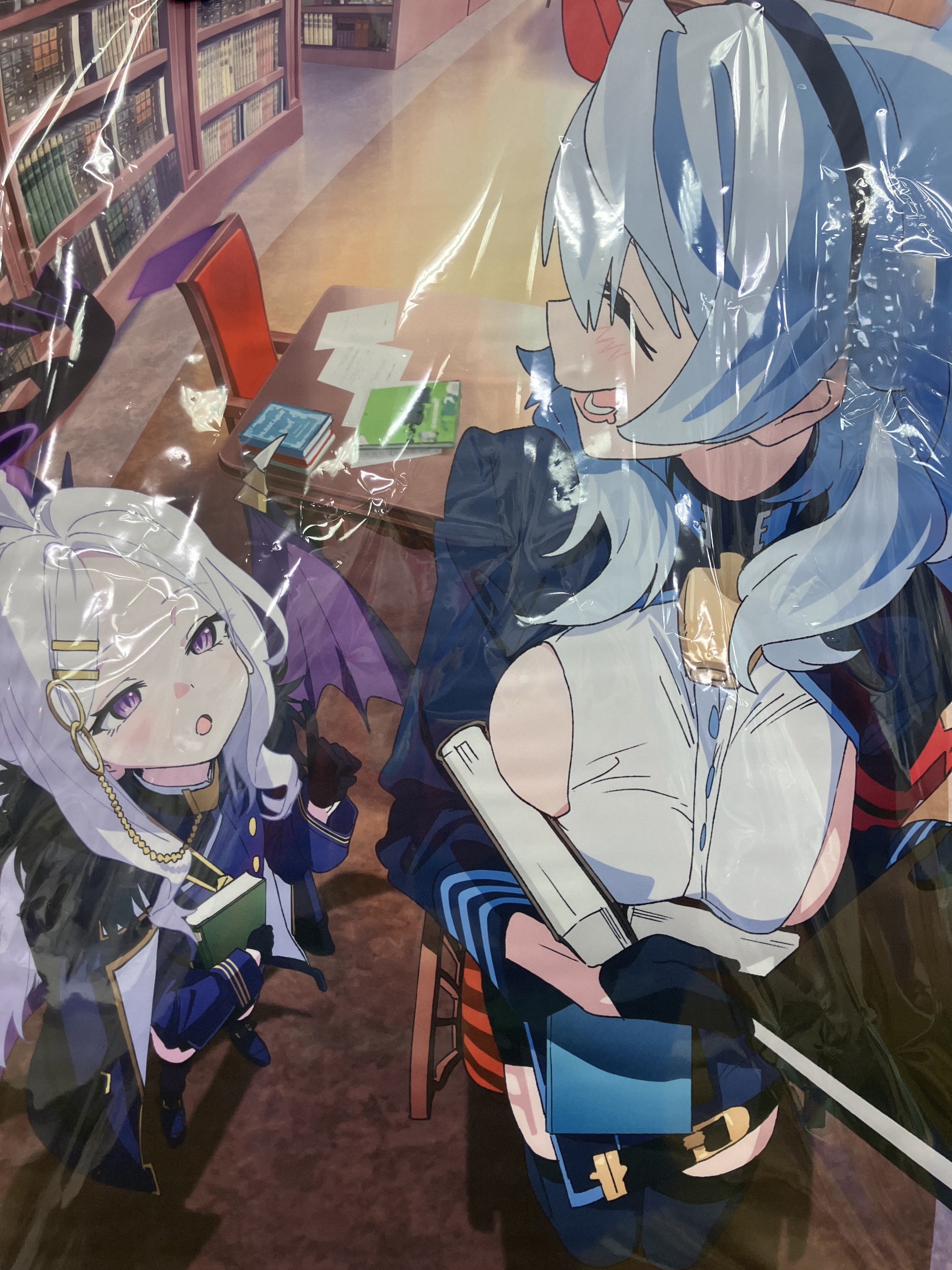 ブルーアーカイブ The Animation 描き下ろしB2タペストリー 空崎ヒナ&天雨アコ 【メロンブックス BD全巻購入特典】