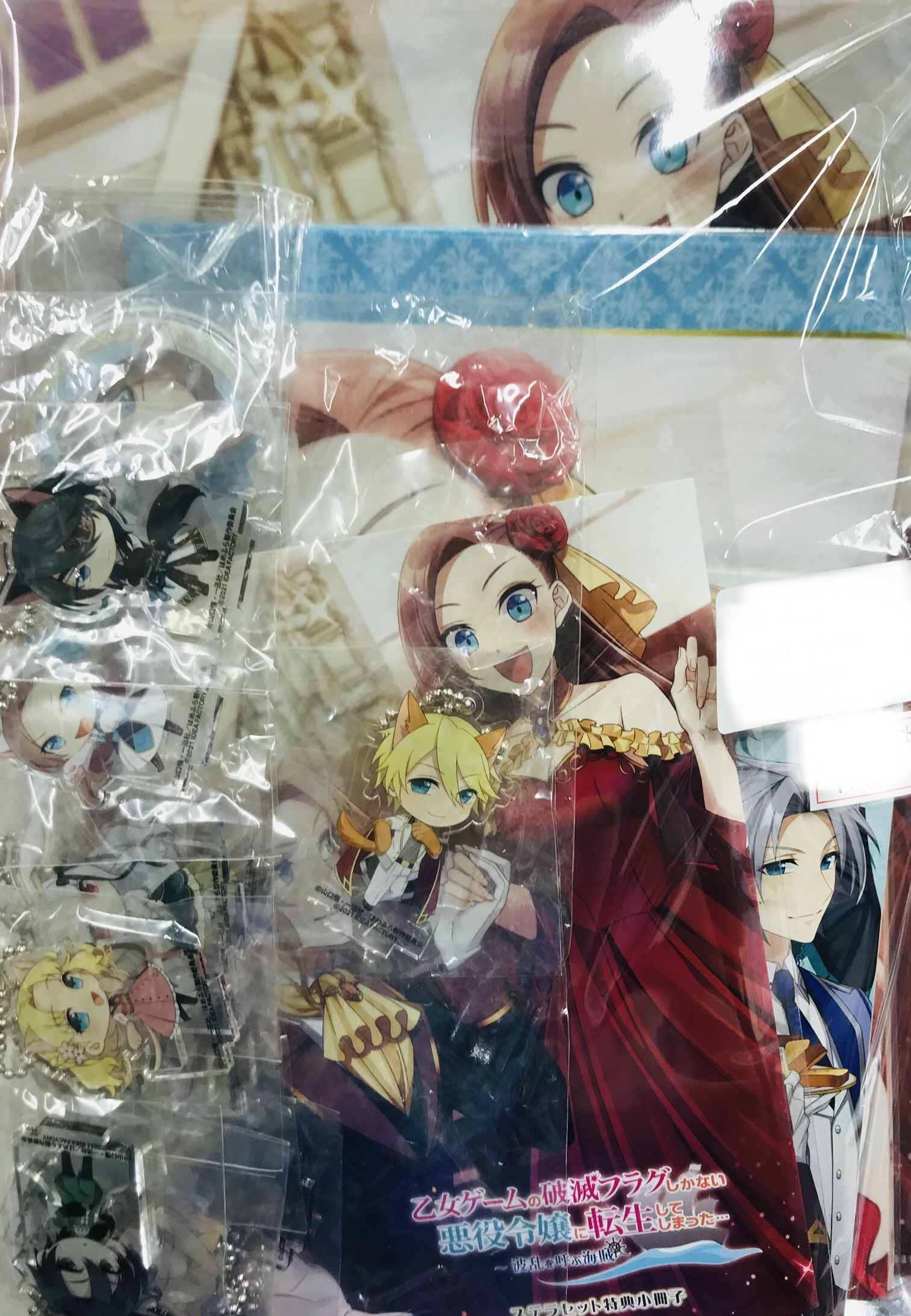 乙女ゲームの破滅フラグしかない悪役令嬢に転生してしまった… ～波乱を呼ぶ海賊～ 限定版 スペシャルステラセット 【Nintendo Switch】