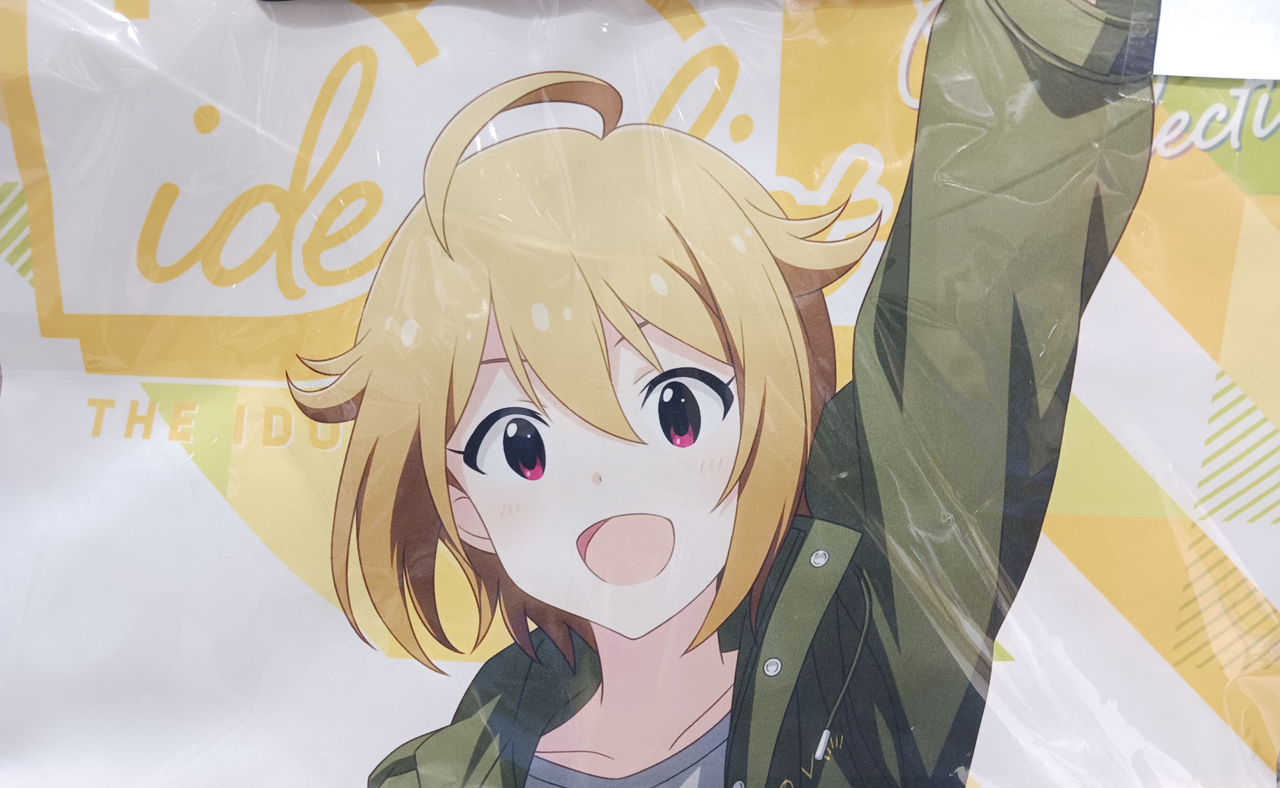 THE IDOLM@STER×WEGO B2タペストリー 伊吹翼