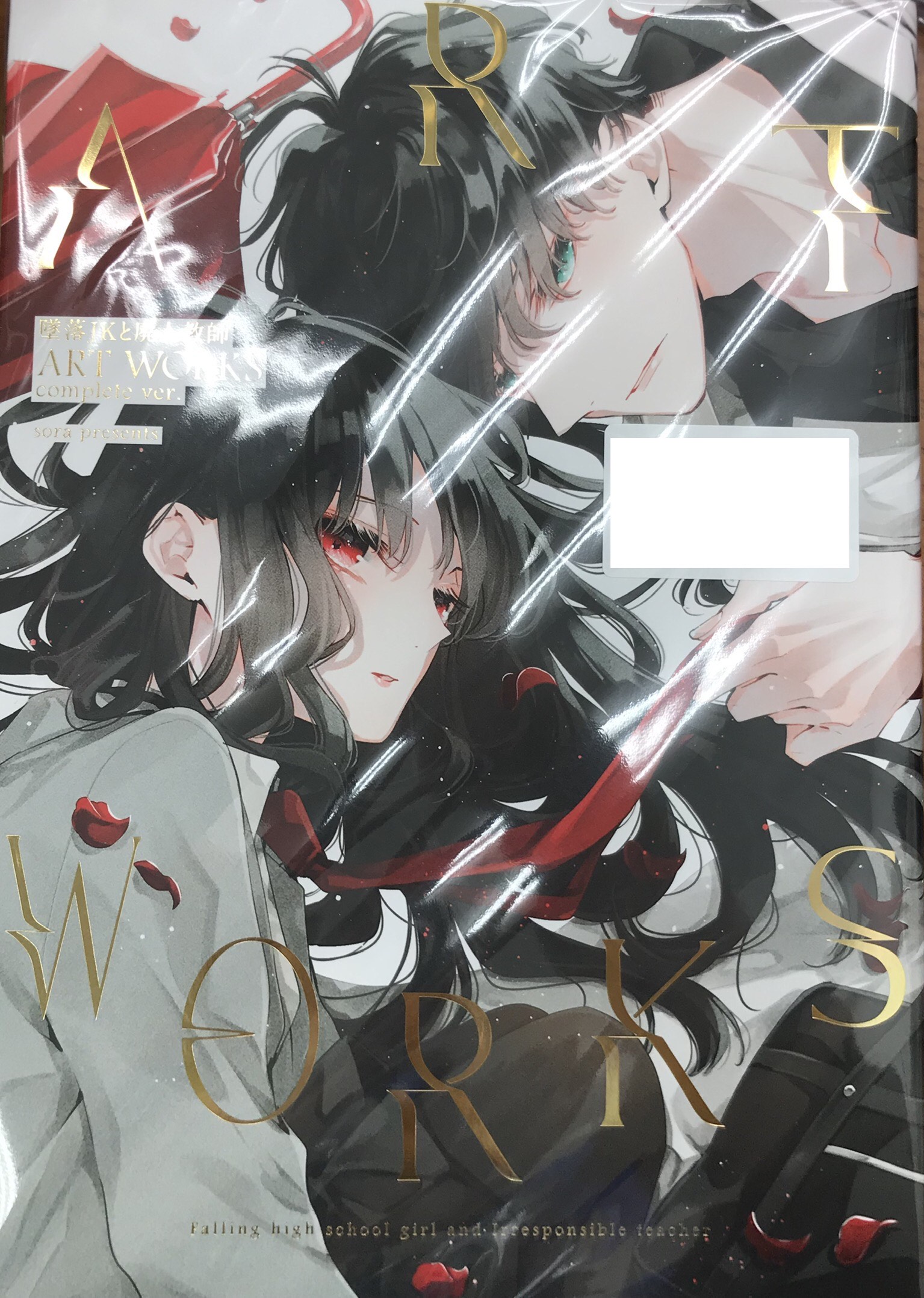 墜落JKと廃人教師 ART WORKS complete ver. [sora]【コミック】
