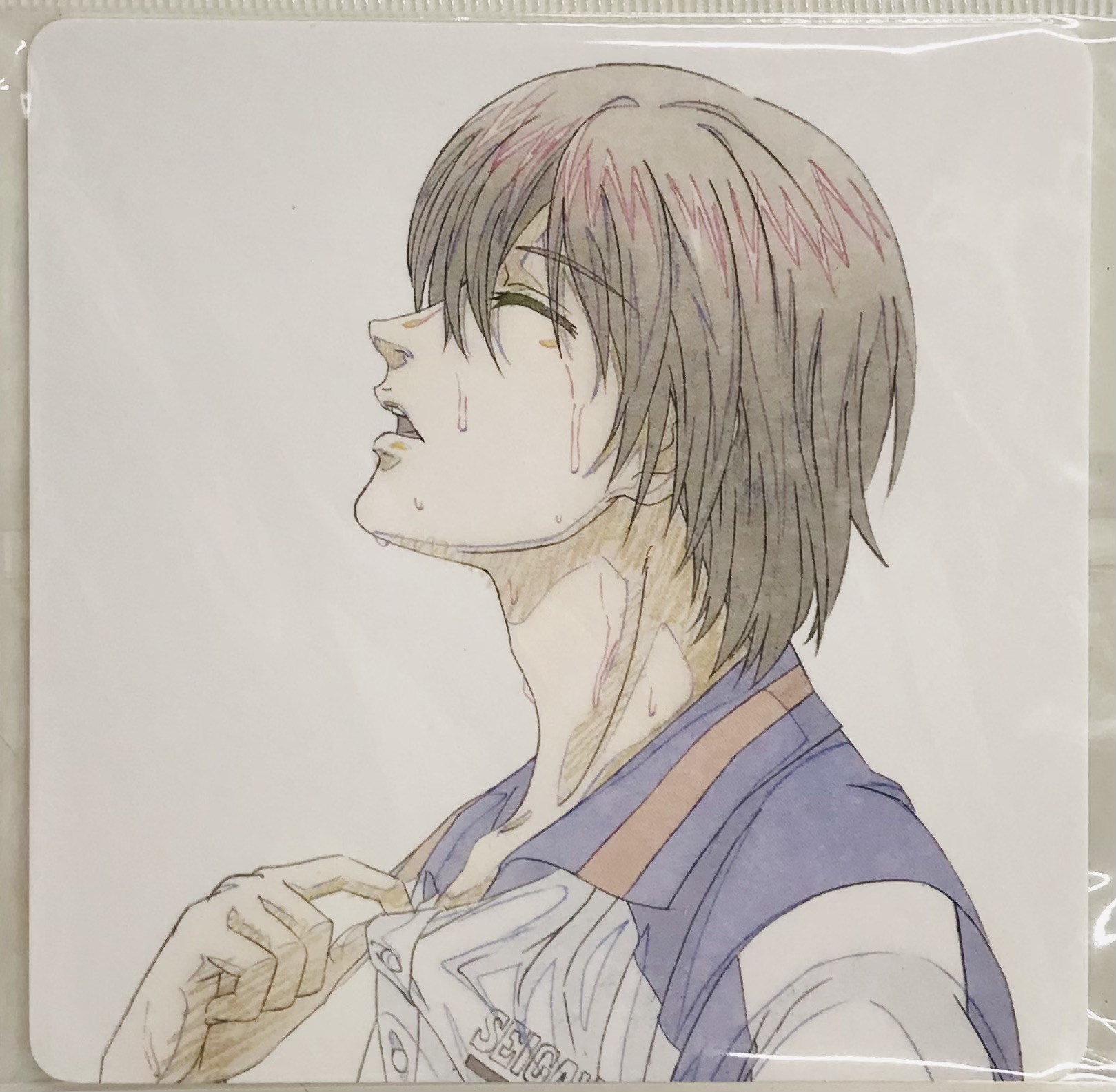 テニスの王子様 BEST GAMES!! 不二vs切原 オリジナルコースター 不二周助 【来場者特典/入場者特典】