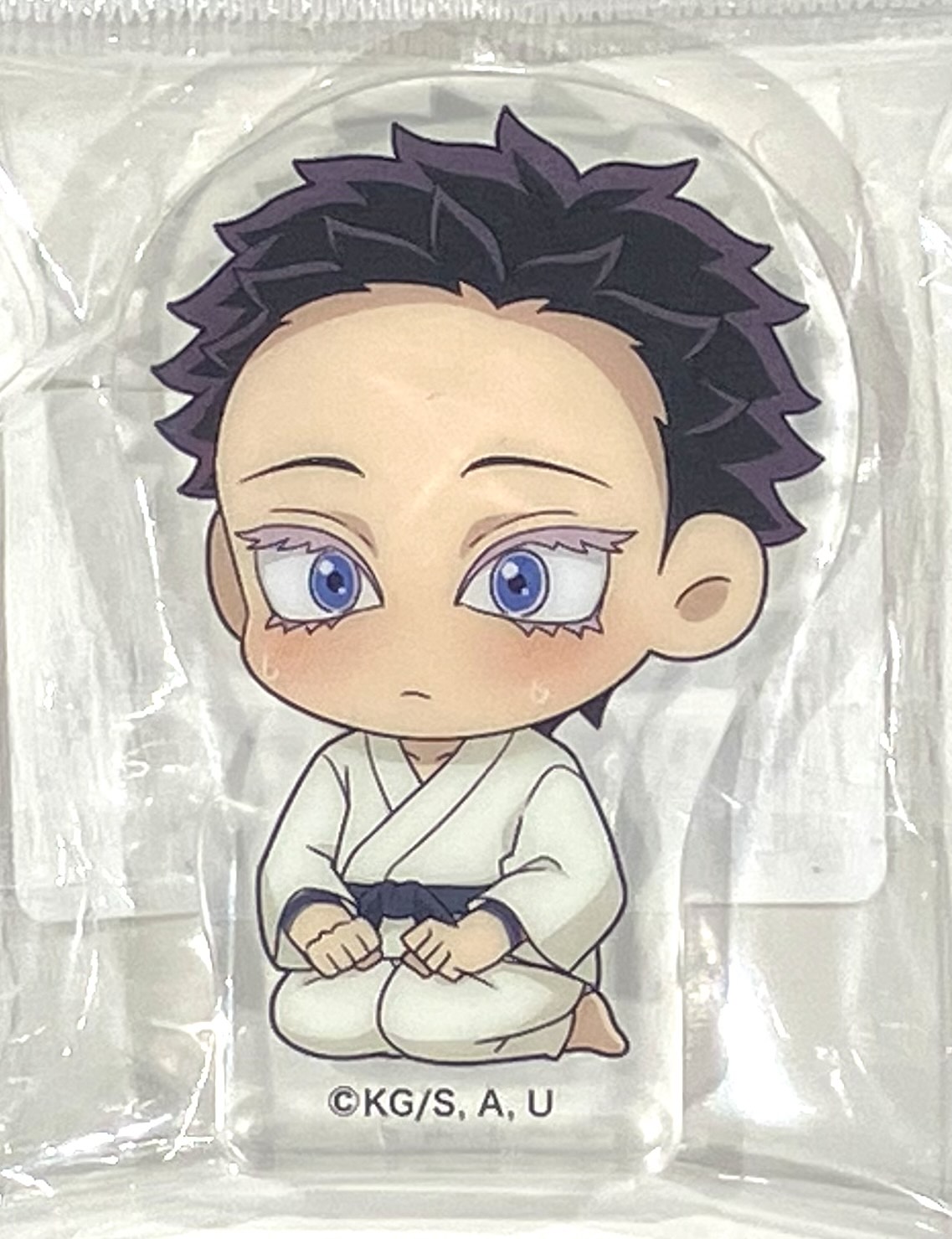 鬼滅の刃 無限城編 ものがたる背中缶バッジ 狛治 恋雪 - JDirectItems