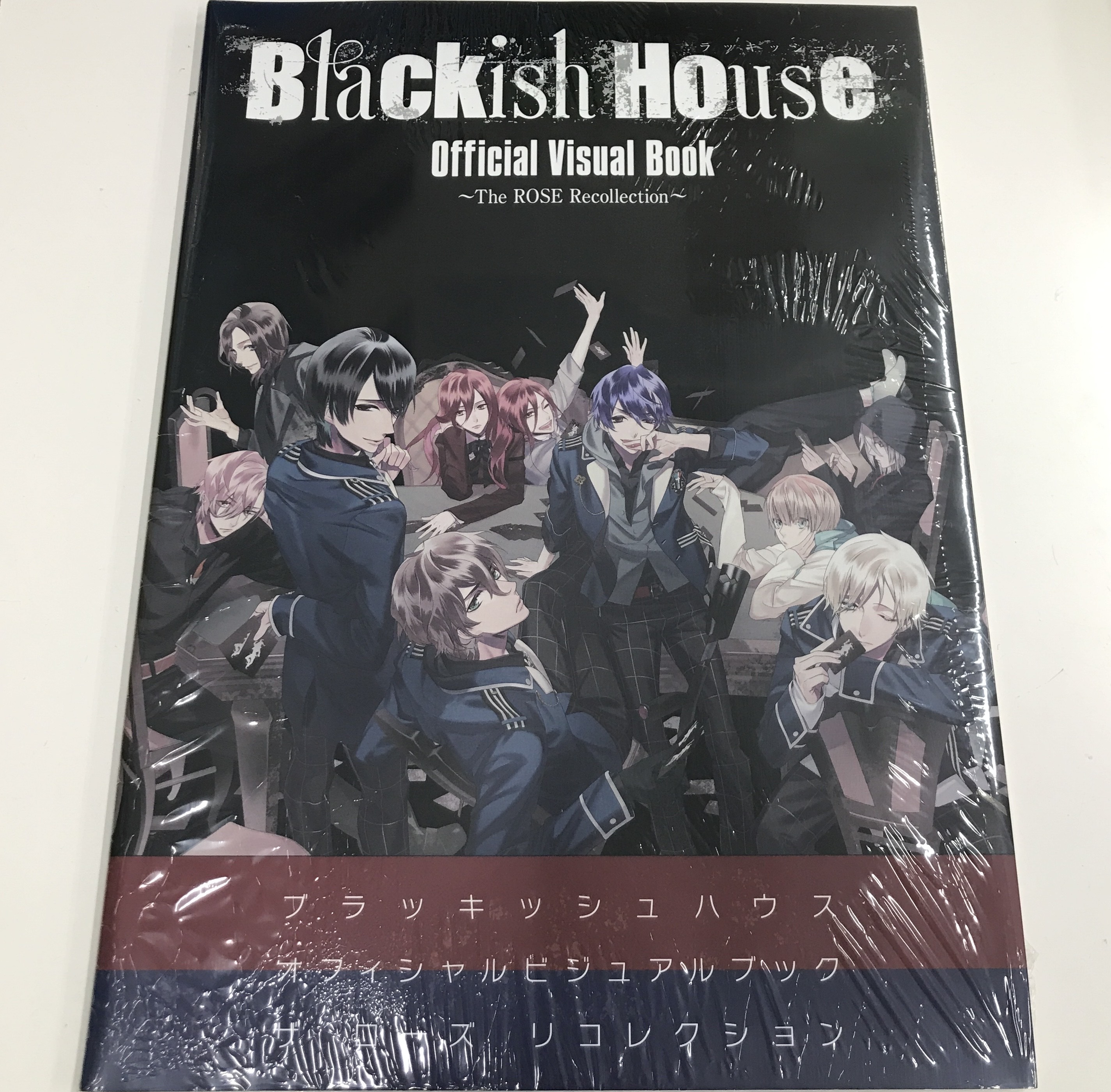 Blackish House Official Visual Book～The ROSE Recollection～