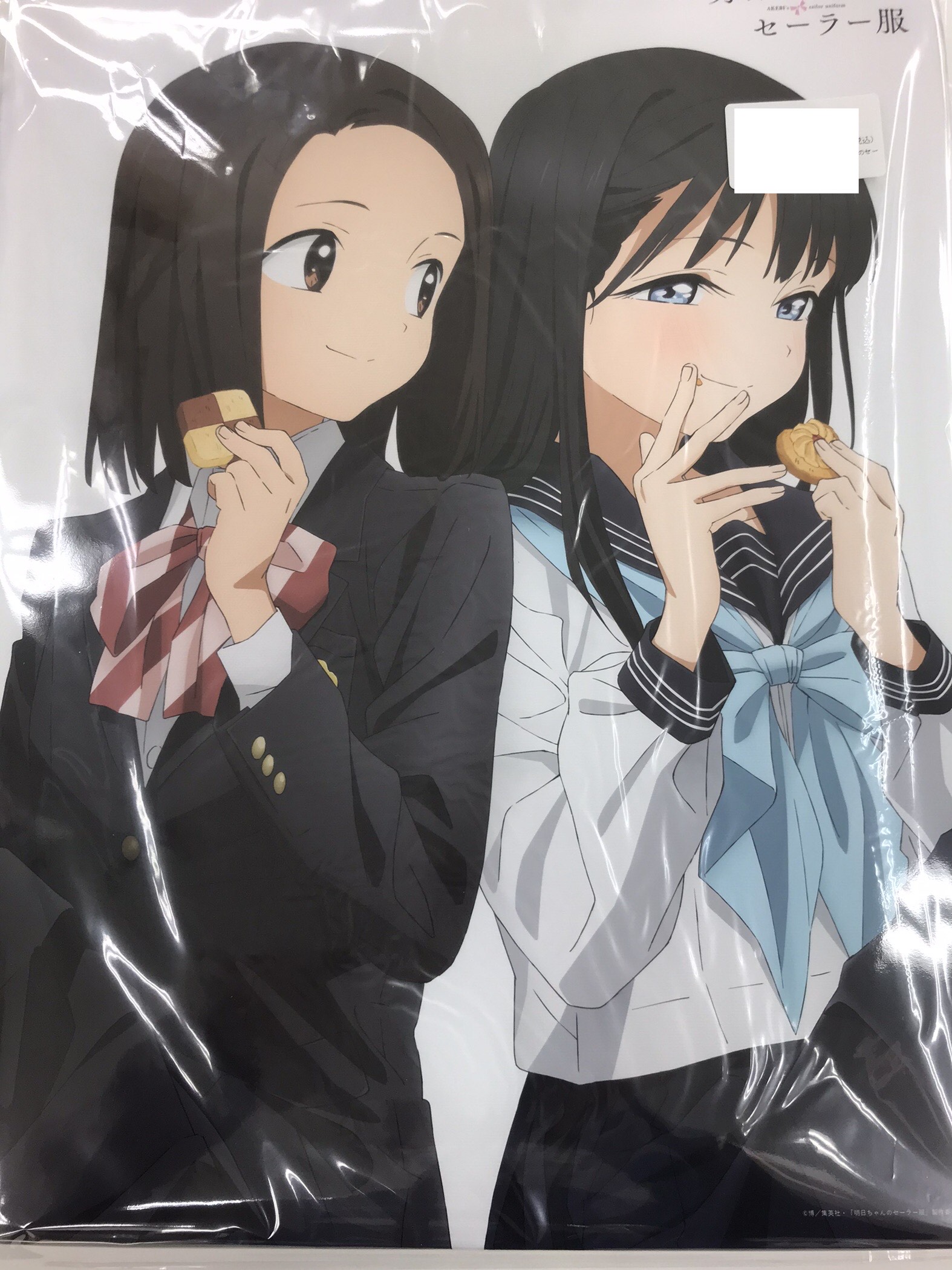 明日ちゃんのセーラー服 F6キャラファインキャンバスボード 明日小路&兎原透子 【Amazon.co.jp BD/DVD全巻購入特典】