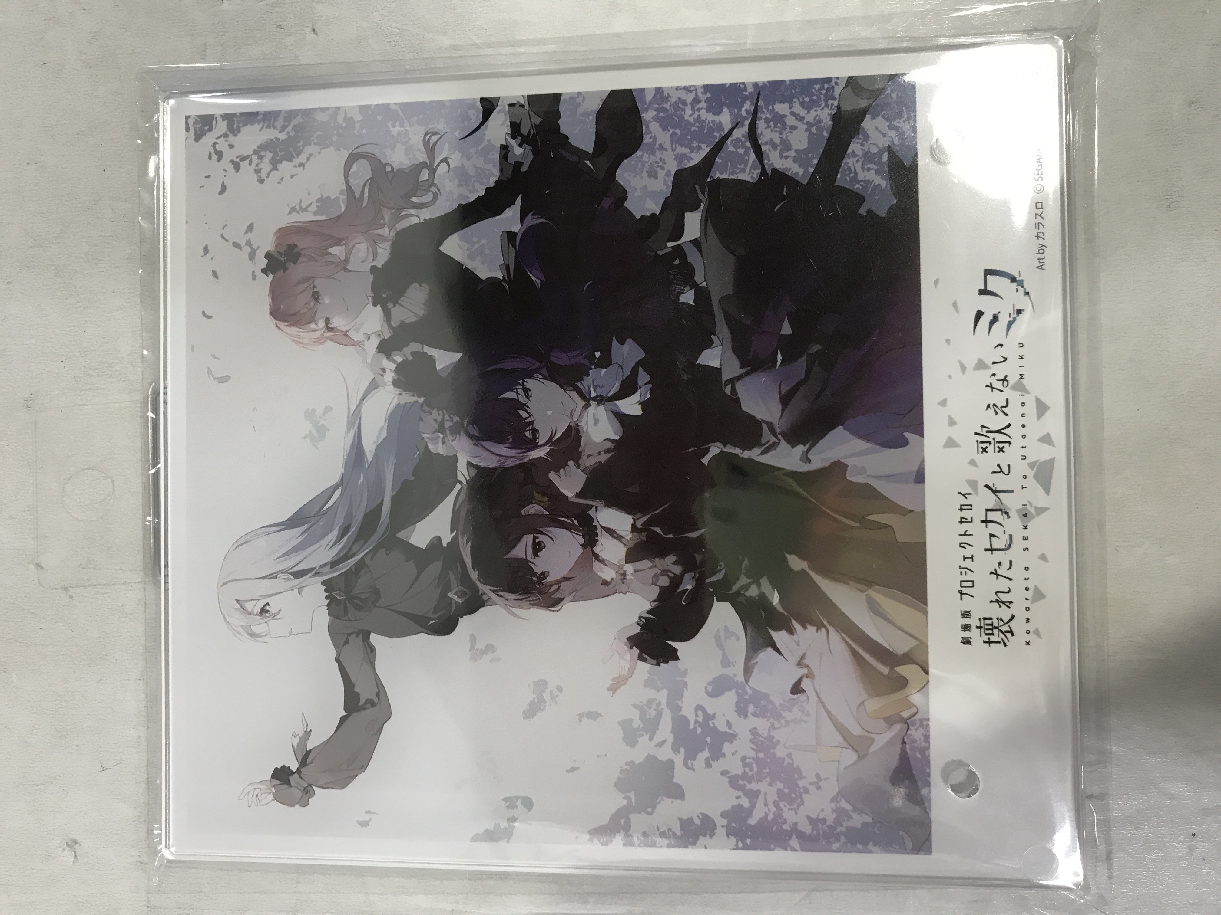 【未開封】劇場版 プロジェクトセカイ 壊れたセカイと歌えないミク ジャケットイラストアクリルパネル 25時、ナイトコードで。【ゲーマーズ BD購入特典】