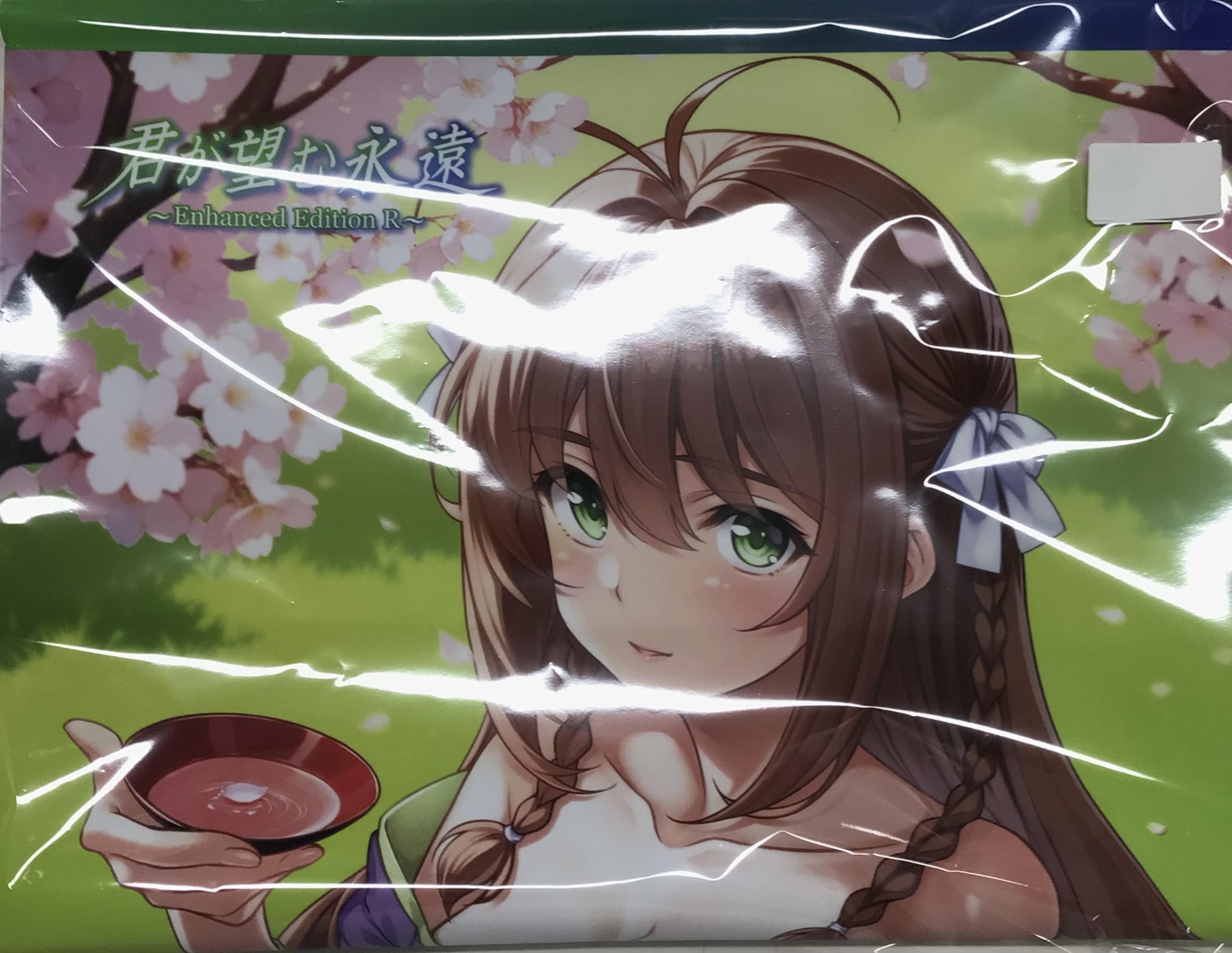 君が望む永遠 ～Enhanced Edition R～ 描き下ろしB2Wスエード