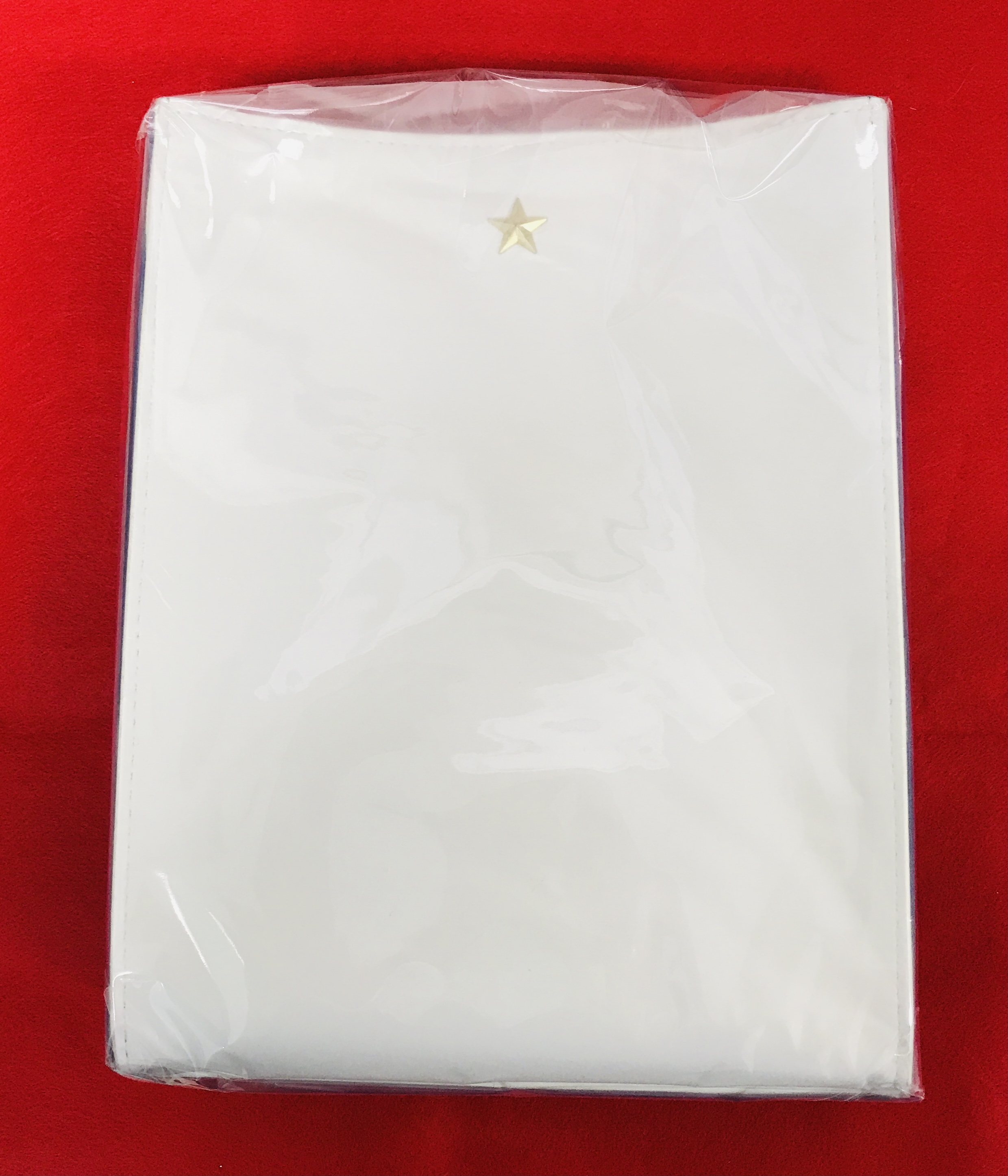 プロジェクトセカイ カラフルステージ! プロジェクトセカイ COLORFUL LIVE 3rd - Evolve - ショルダーバッグ ブルー 【プロジェクトセカイ COLORFUL LIVE 3rd - Evolve -】