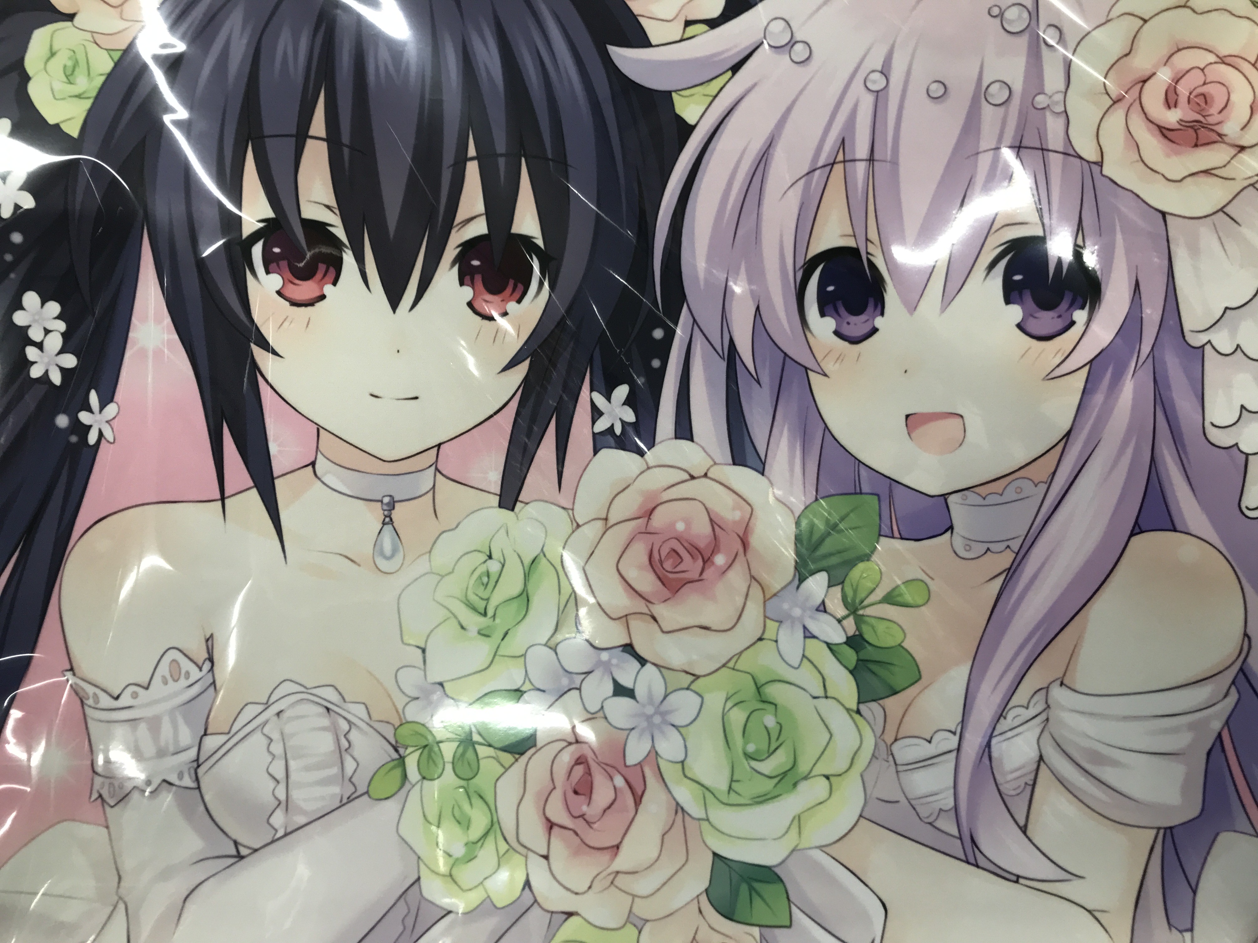 ネプテューヌ Re;Birth123 ノワールタペストリー ネプギア&ノワール A 【WonderGOO限定セット内容物】