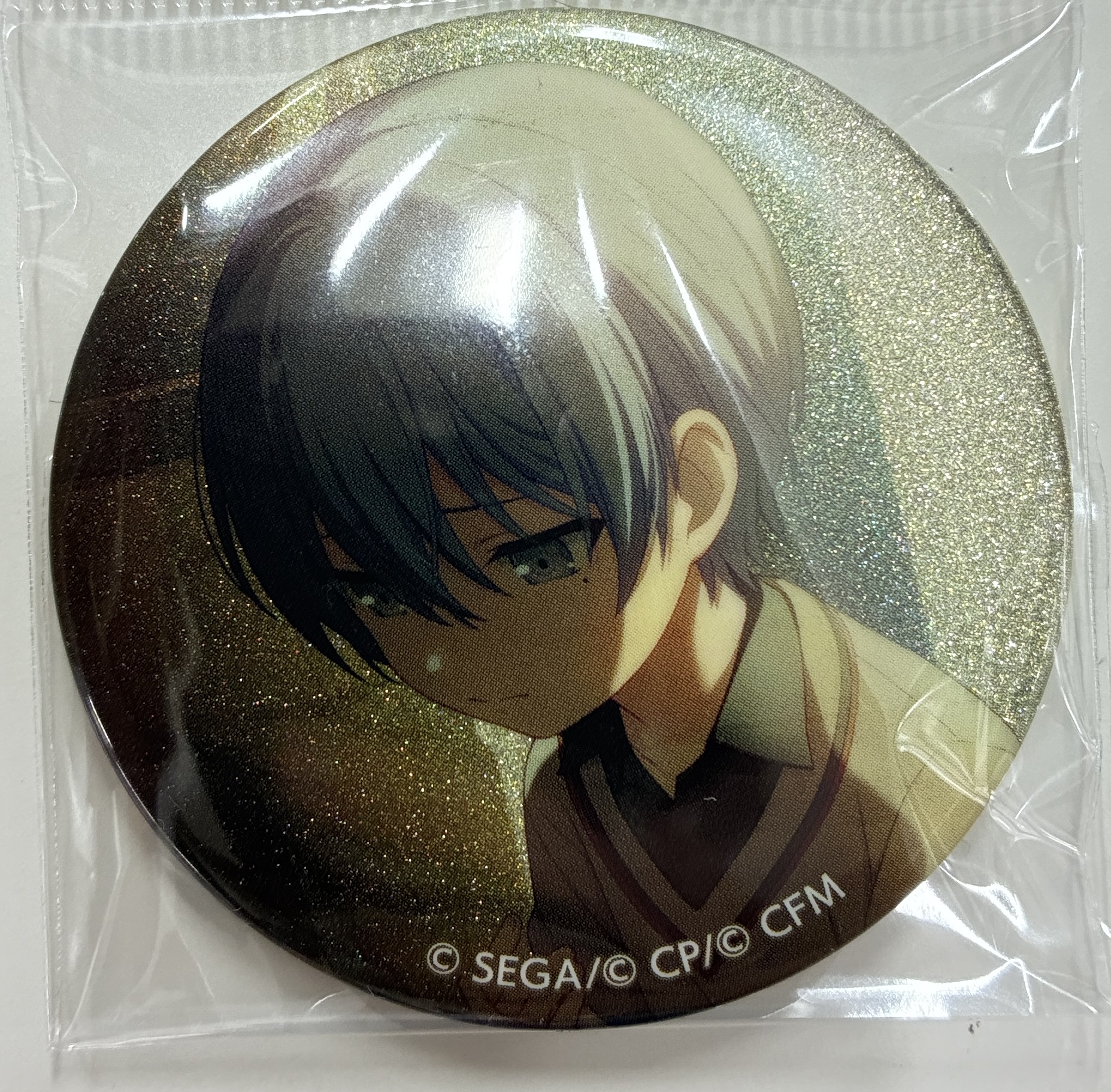 プロジェクトセカイ カラフルステージ! グリッター缶バッジコレクション vol.4 A 青柳冬弥