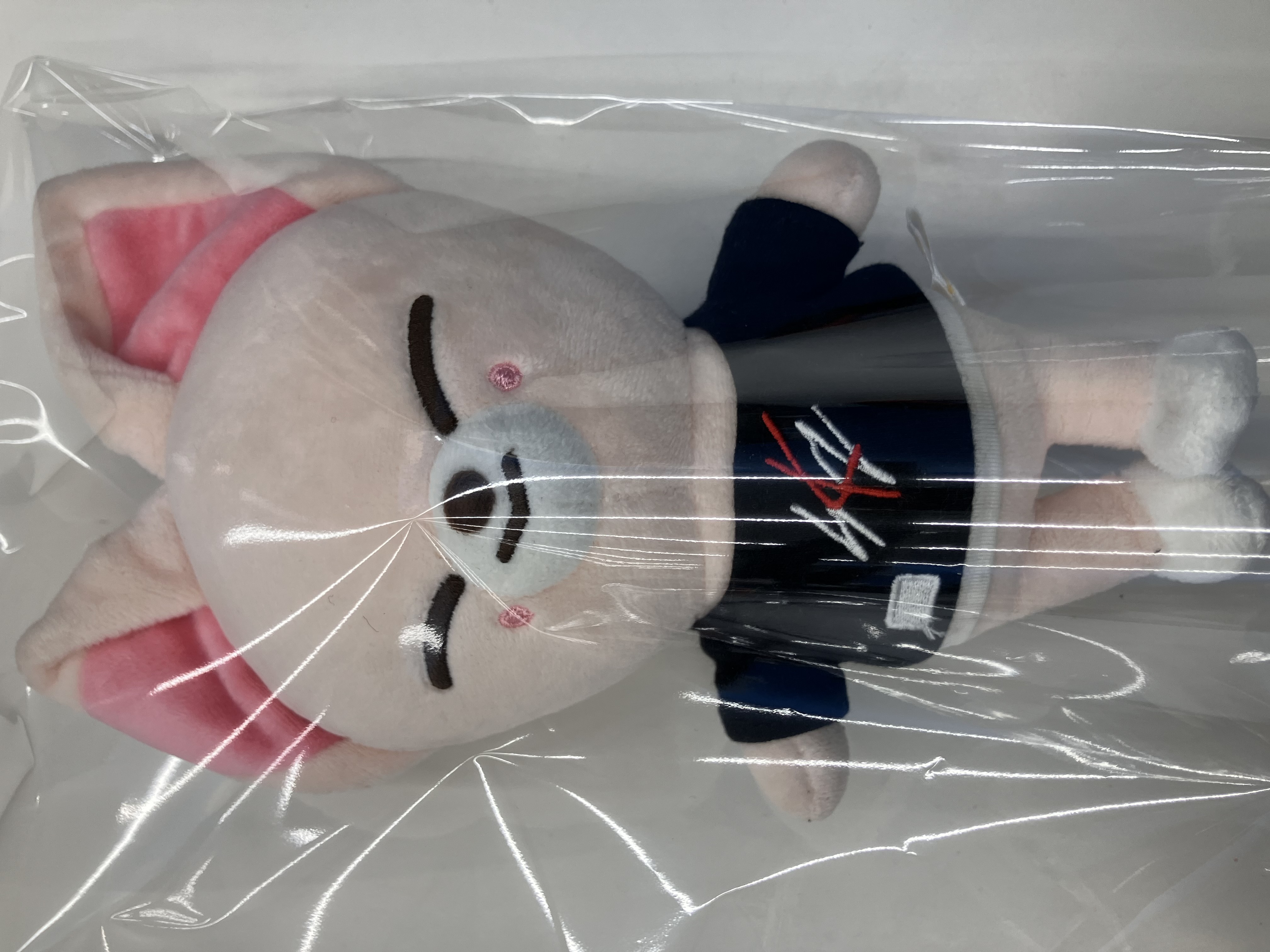 Stray Kids x SKZOO [THE VICTORY] SKZOO PLUSH ORIGINAL Ver. フォクシニー アイエン