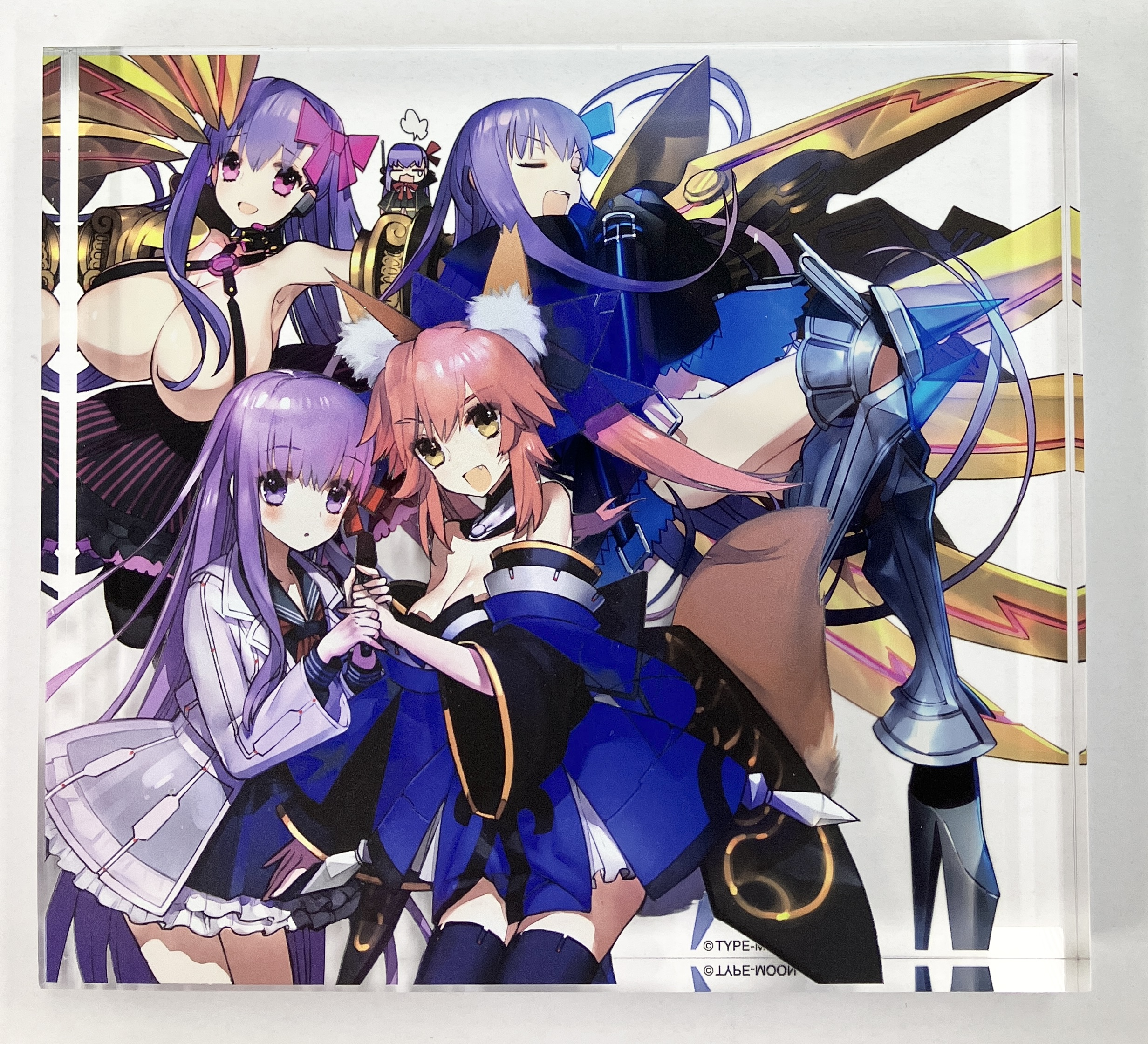 Fate/EXTRA ワダアルコ展 Fate & Fate/EXTRA ART WORKS アクリルブロック