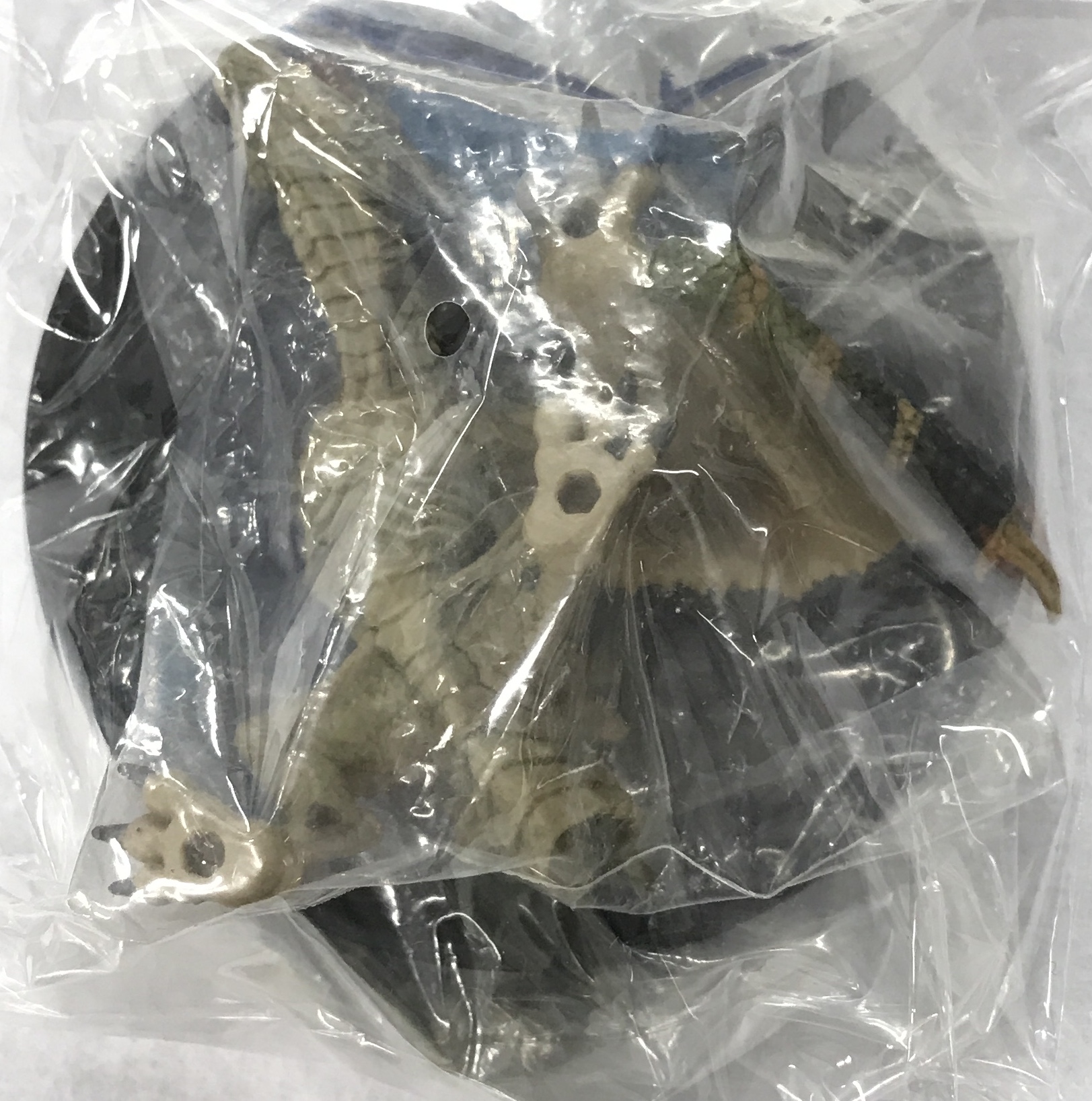 【未開封】カプコンフィギュアビルダー スタンダードモデル モンスターハンター THE BEST ～Vol.1・2・3～ ティガレックス亜種 【フィギュア】[CAPCOM]
