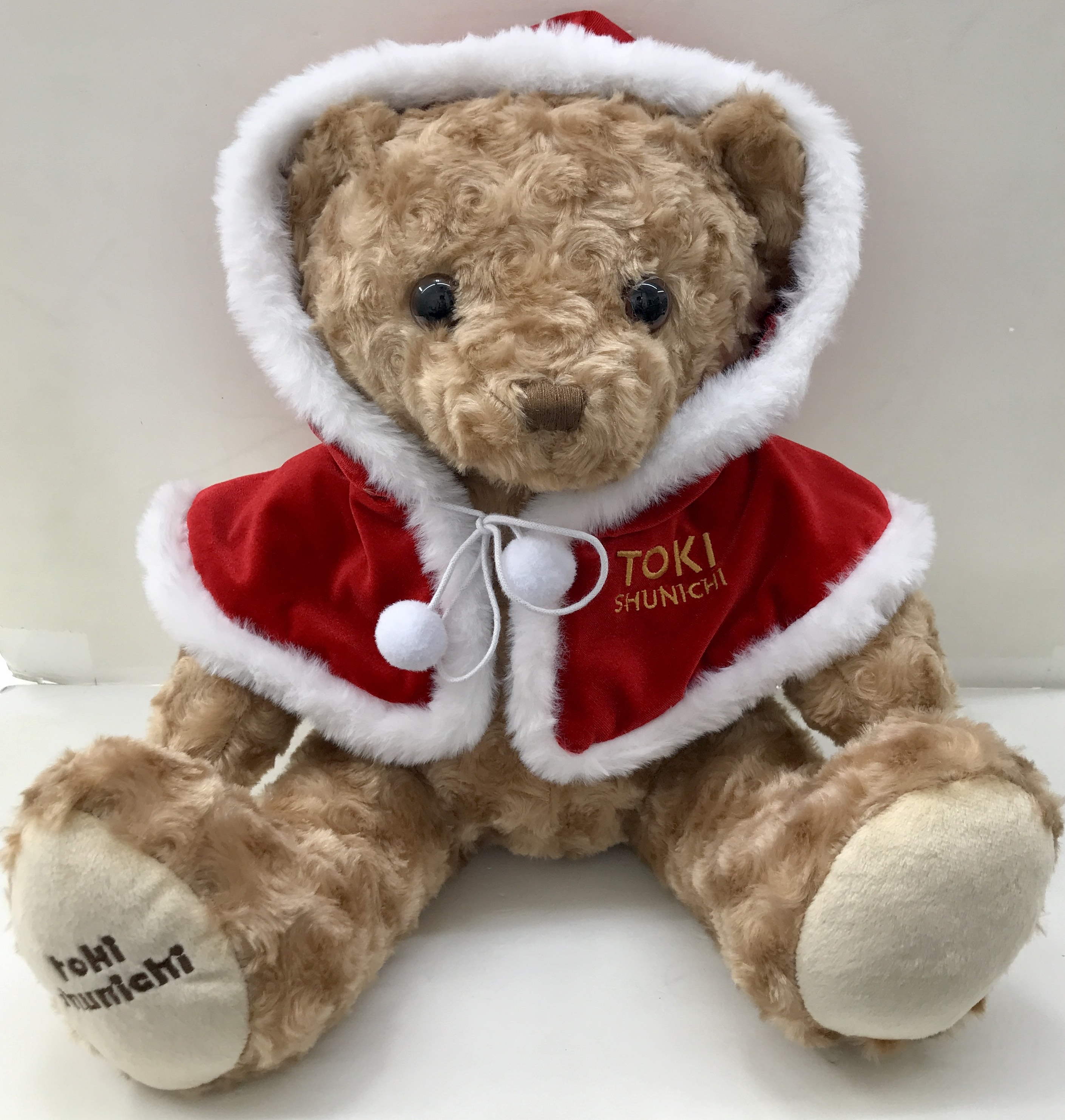 土岐隼一 Shunichi Toki 5th Anniversary & Christmas Live アーティストデビュー5周年 クリスマスベア 【Shunichi Toki 5th Anniversary & Christmas Live】