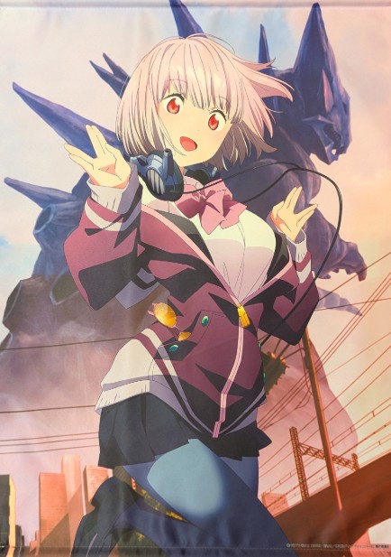 劇場総集編 SSSS.GRIDMAN B2タペストリー 新条アカネ
