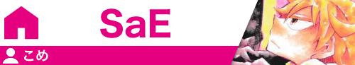 SaE こめ