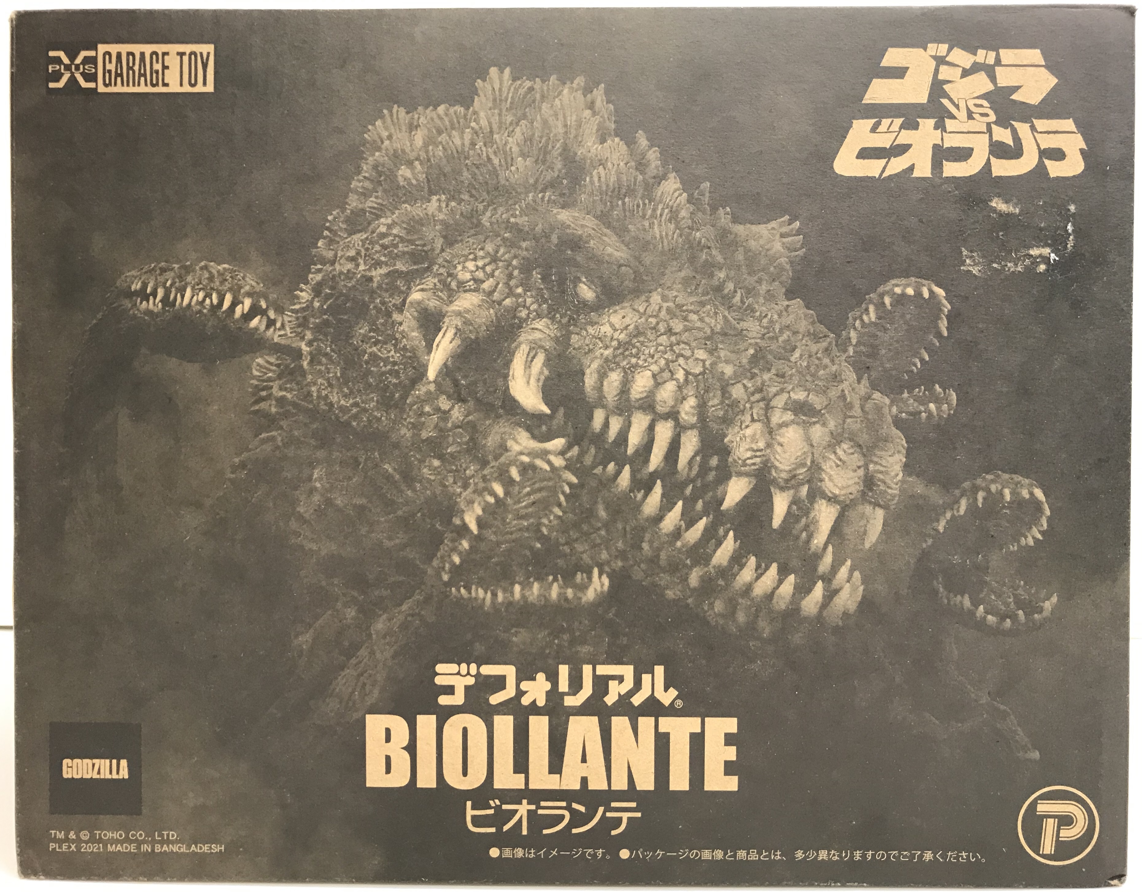 中野店 顔のデカいビオランテが デフォリアルで更に顔デカにの入荷情報 らしんばん