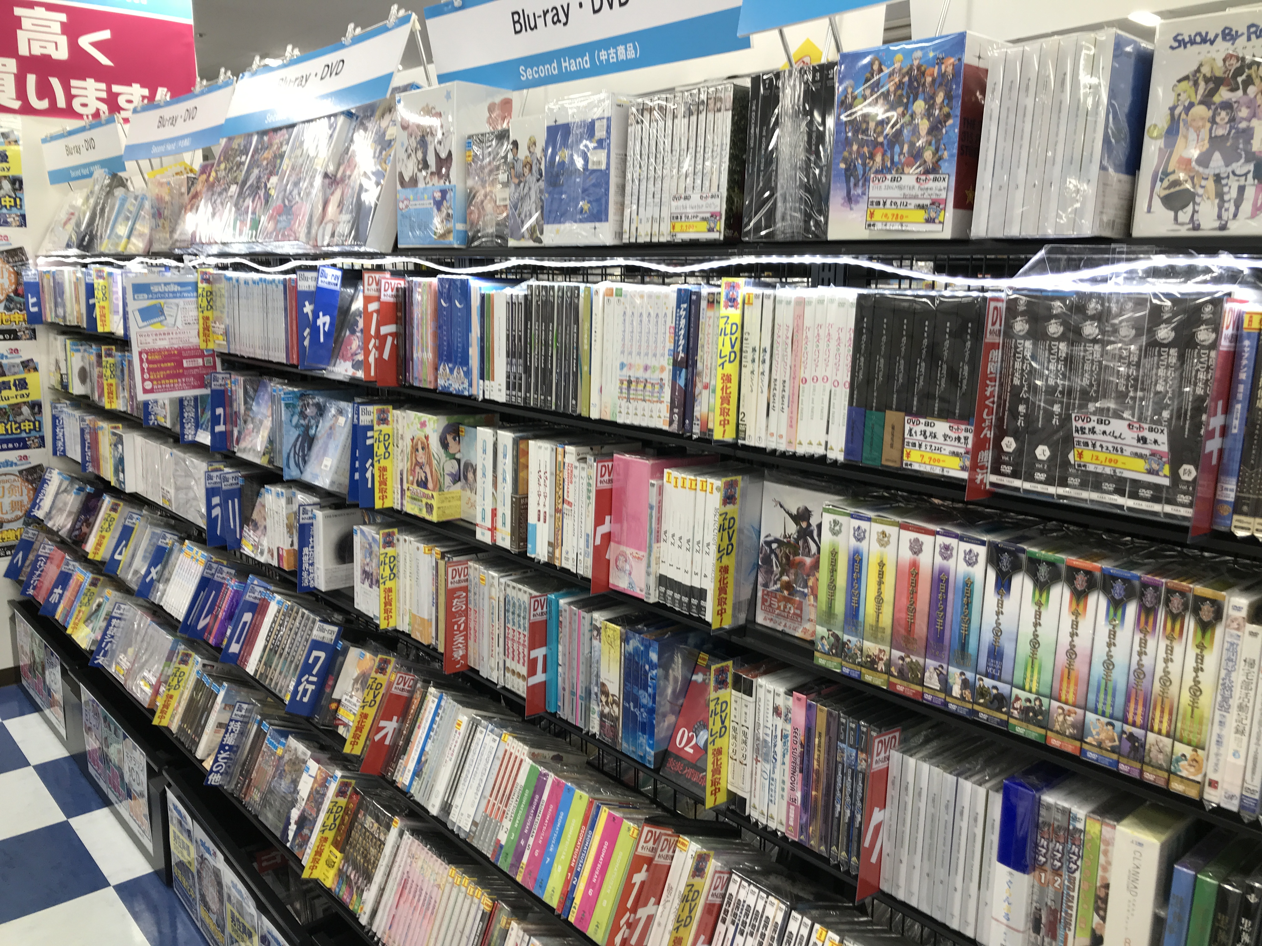 多年生 国家 あそこ 大須 中古 Dvd 天井 特性 素晴らしいです